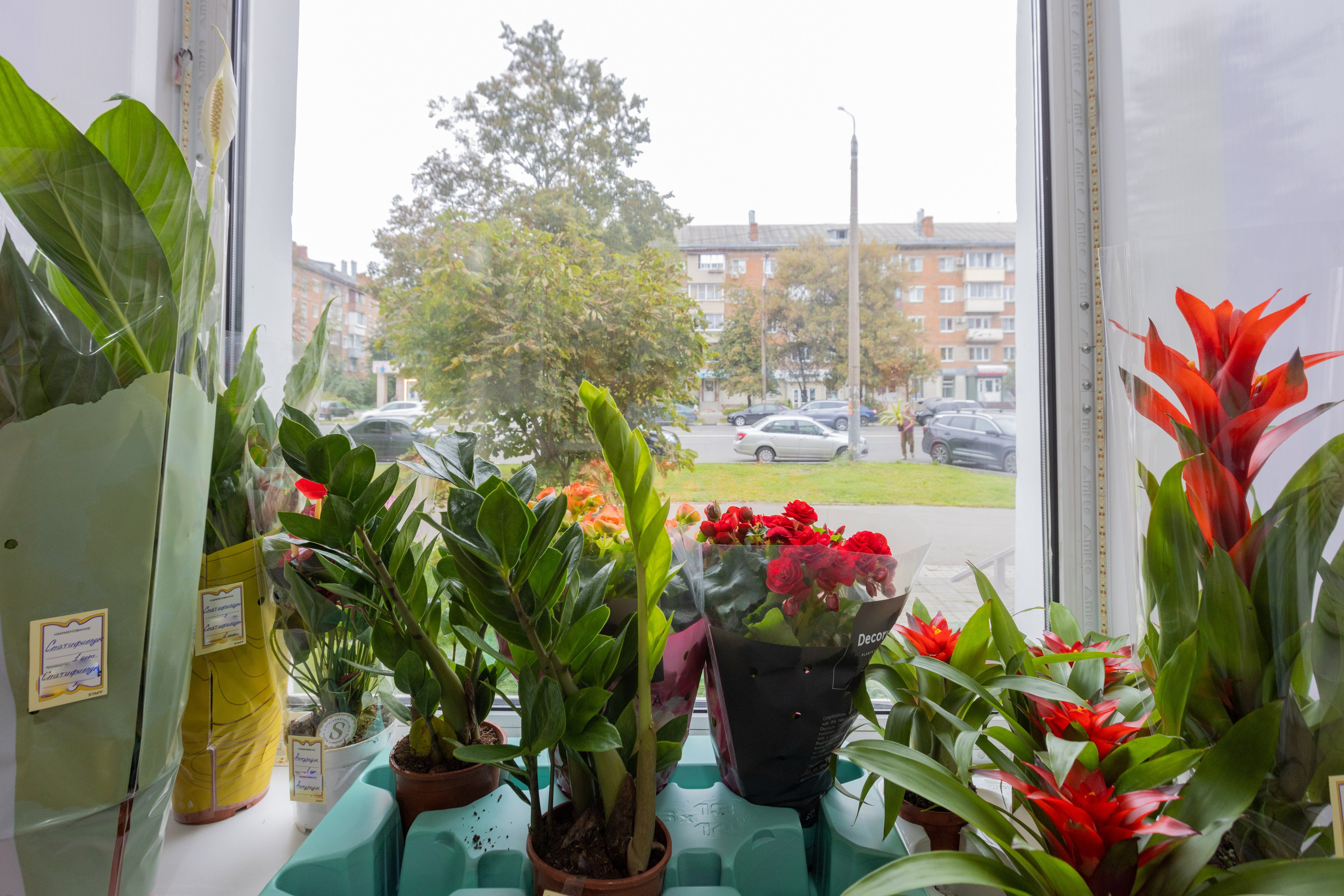 Цветы на Фрунзе «FF». Фотограф в Туле Крупский АнДРей. Фотостудия «КАДР71» в Туле