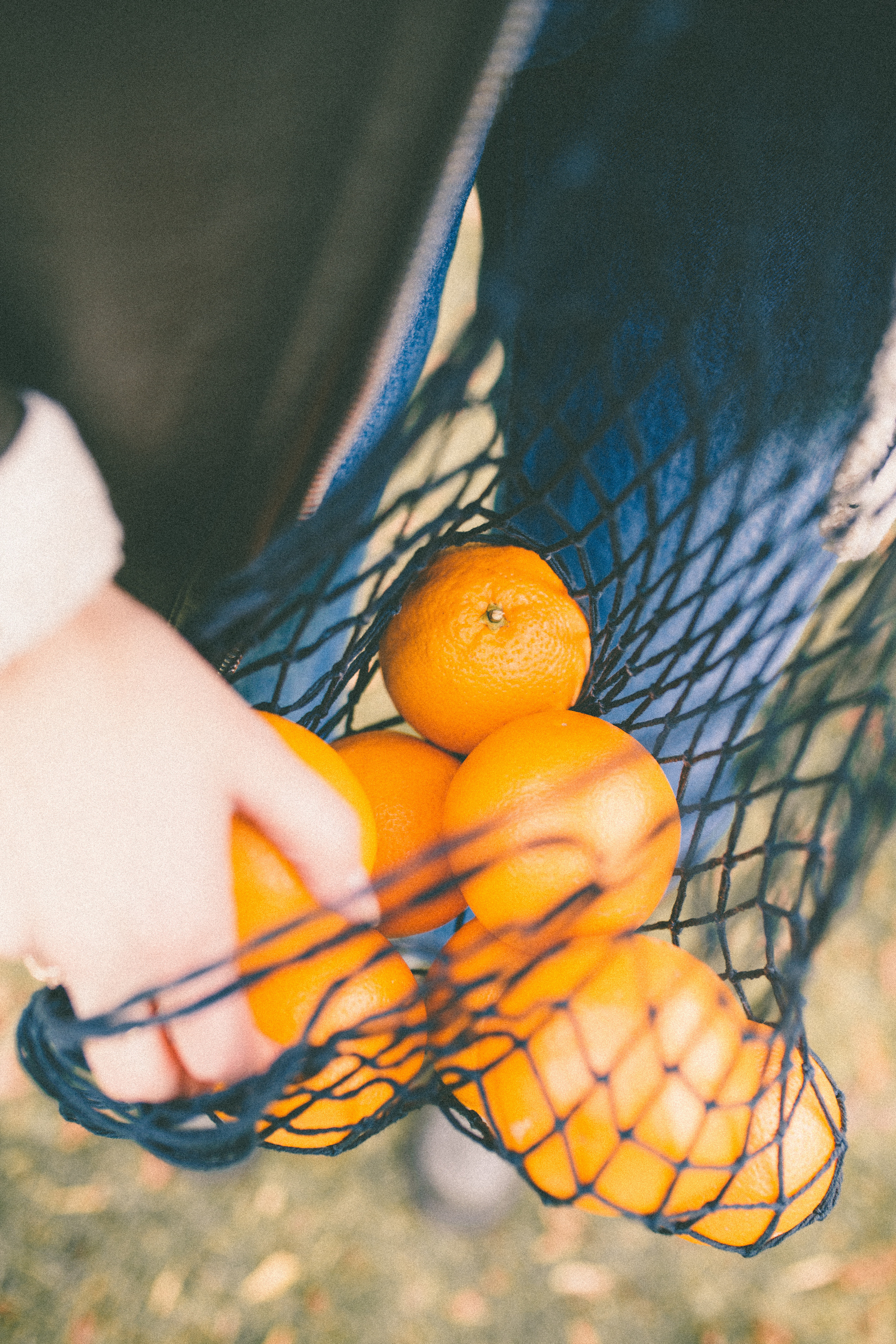 Полина история с апельсинами. Семейный фотограф в Москве и Московской области Донкова Екатерина