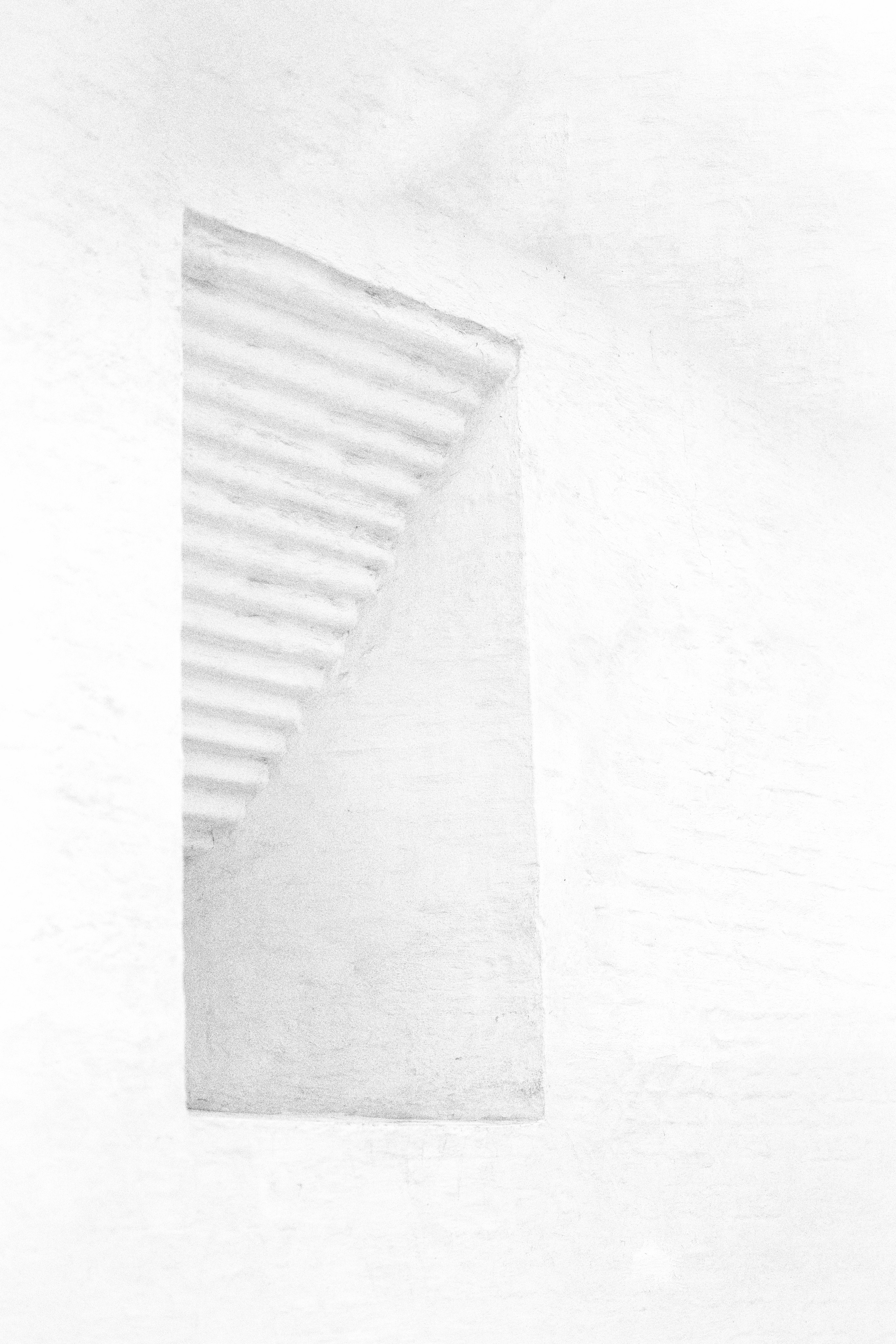 Черно-белый этюд. Фотограф Ольга Дунаева