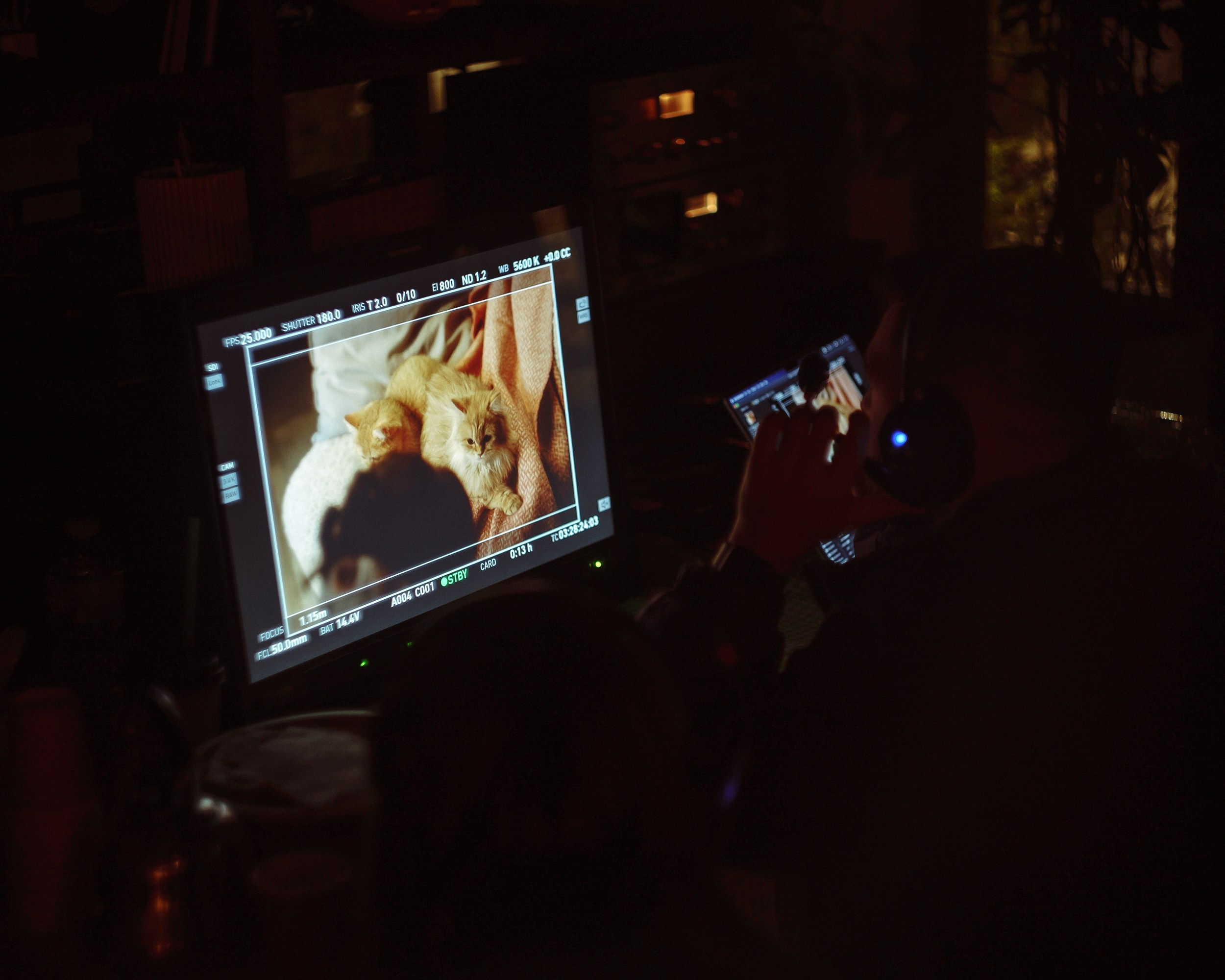 Бэкстейдж кинопроизводства, съемок рекламы. Концертный и портретный фотограф Москва и Санкт-Петербург