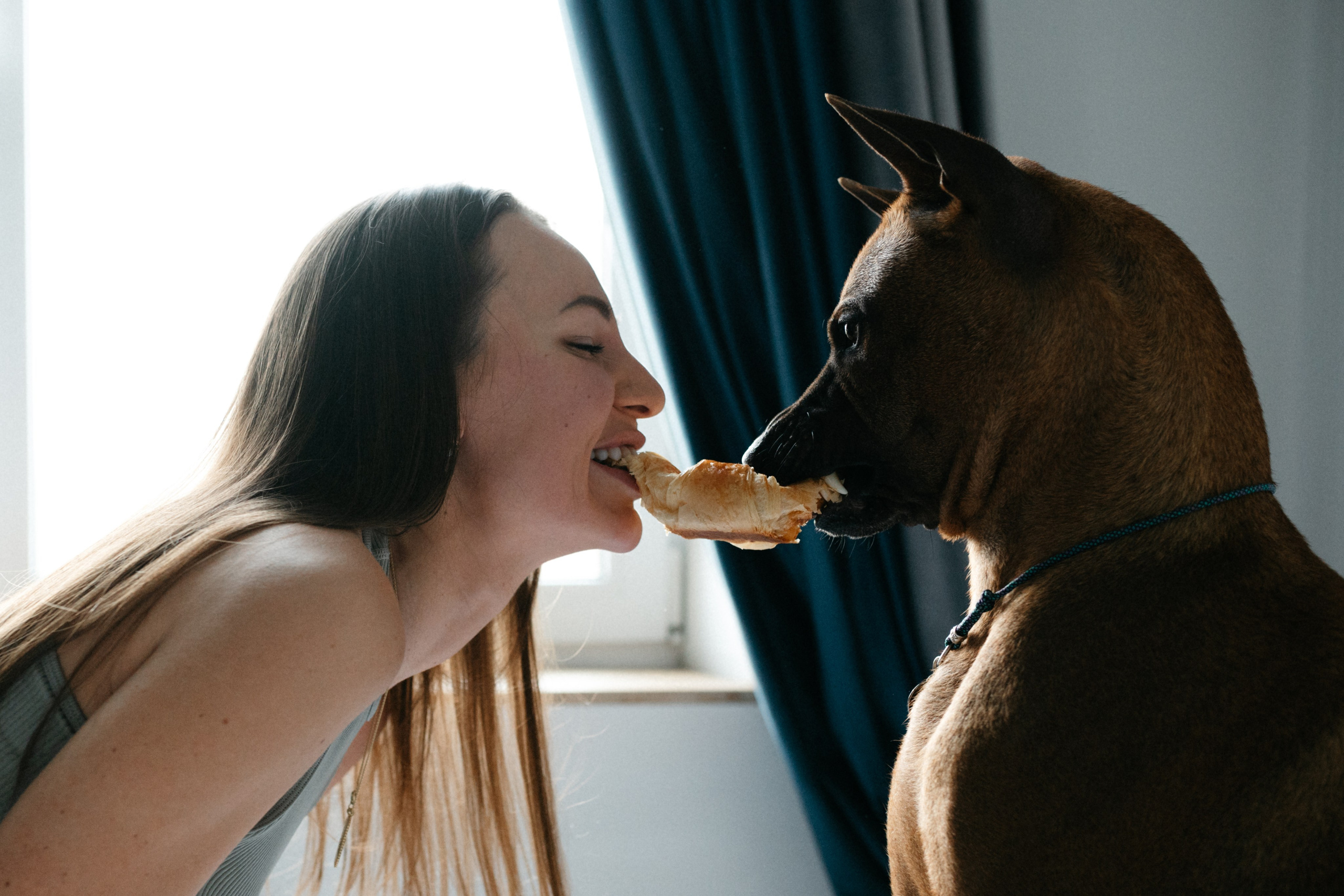 Оксана и Зевс. Фотограф анималист в Москве Ольга Агушева