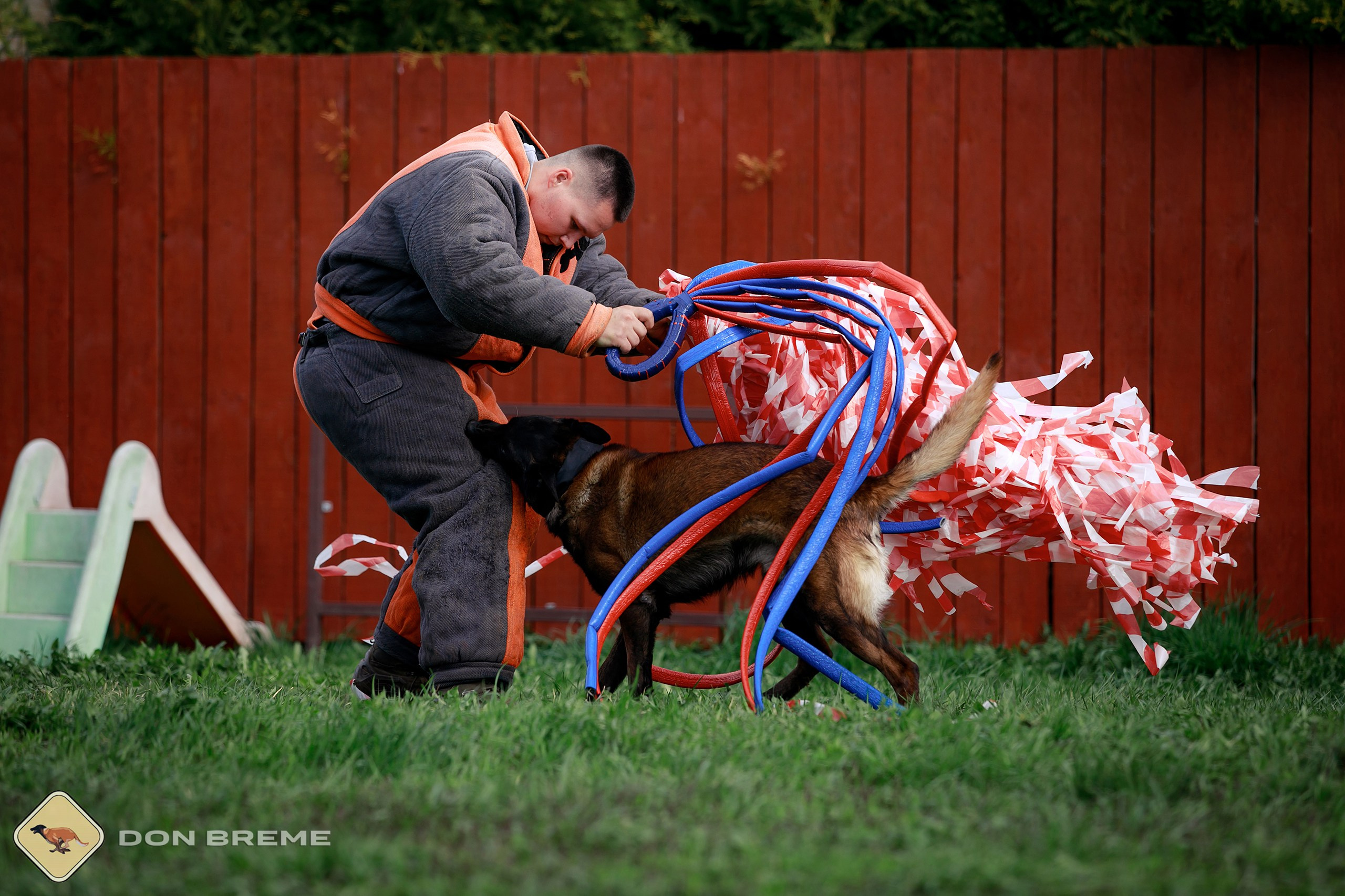 Семинар для фигурантов, день 2. Фотограф-анималист Mary Mart — Москва, Питер