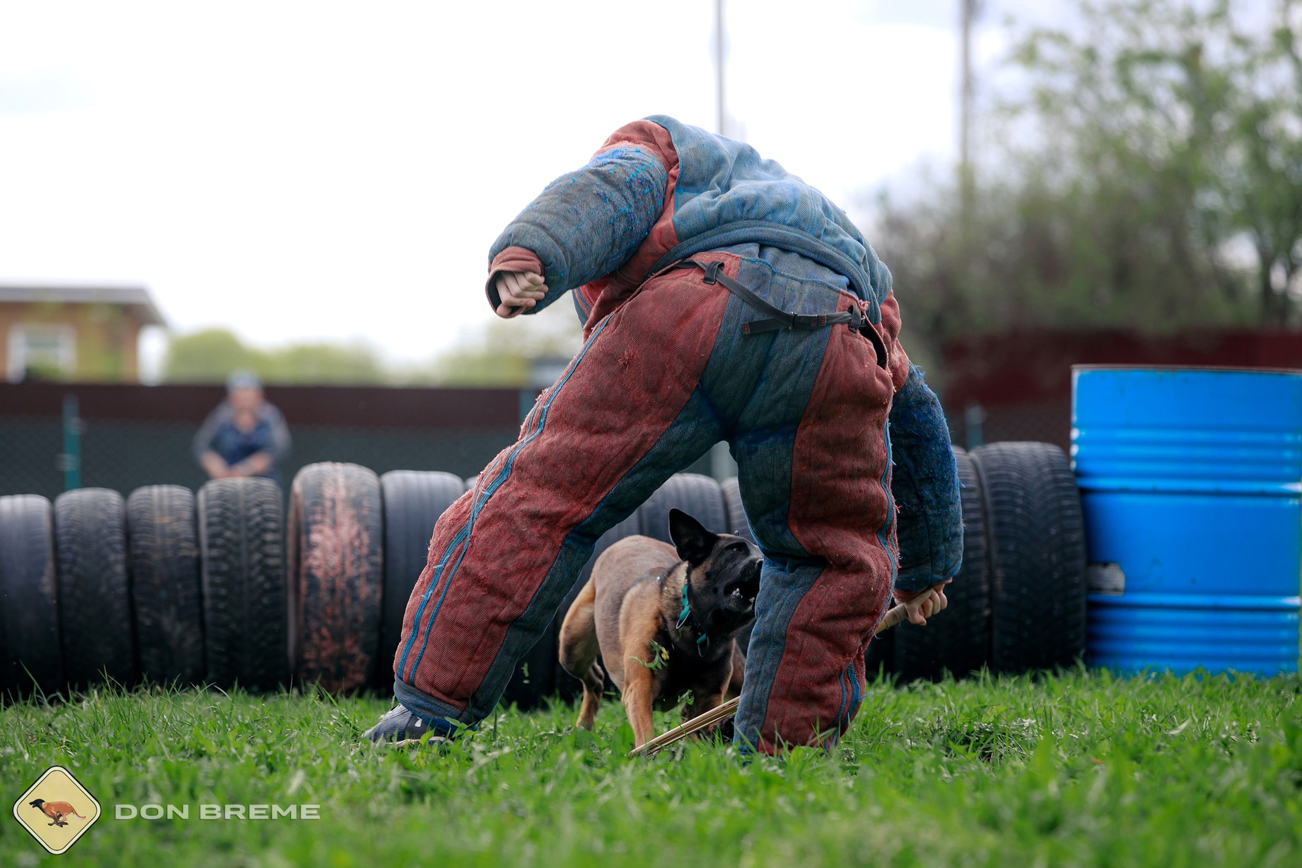 Семинар для фигурантов, день 2. Фотограф-анималист Mary Mart — Москва, Питер