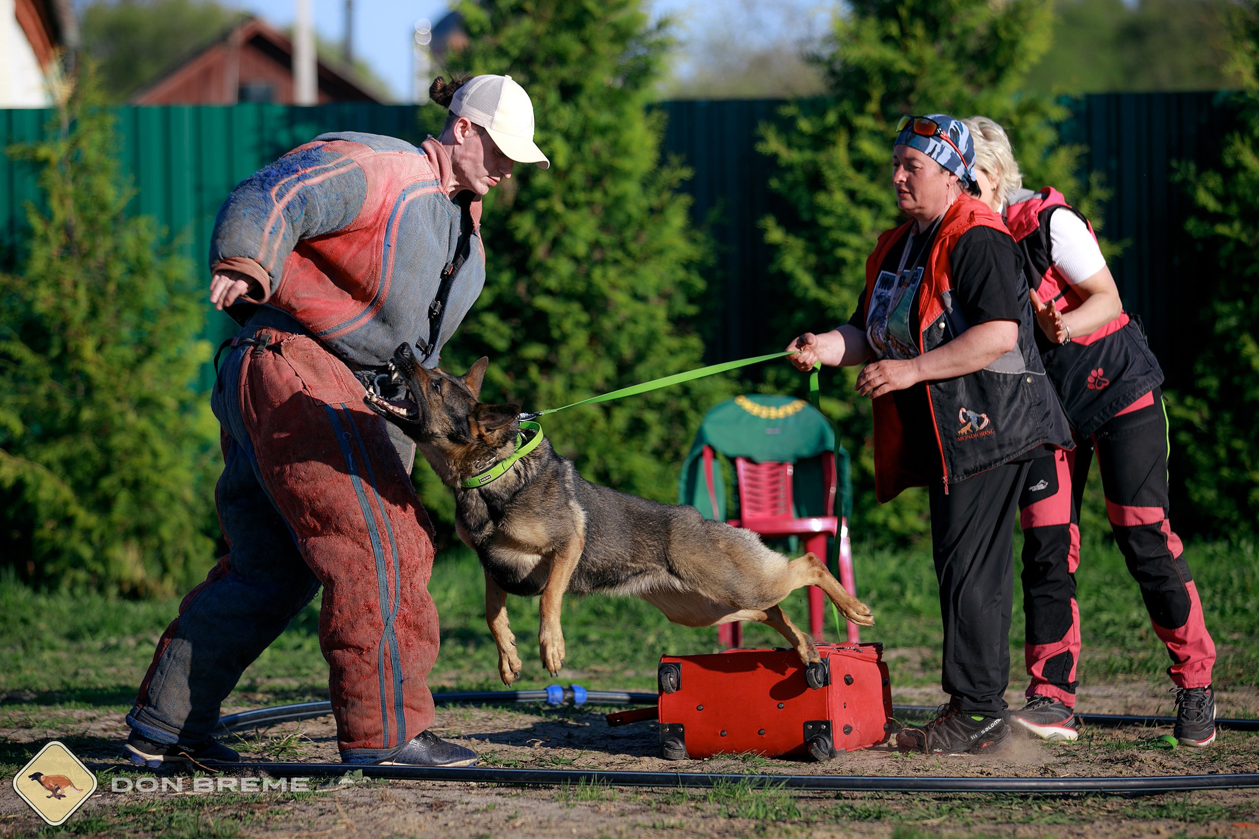 Семинар для фигурантов, день 3. Фотограф-анималист Mary Mart — Москва, Питер