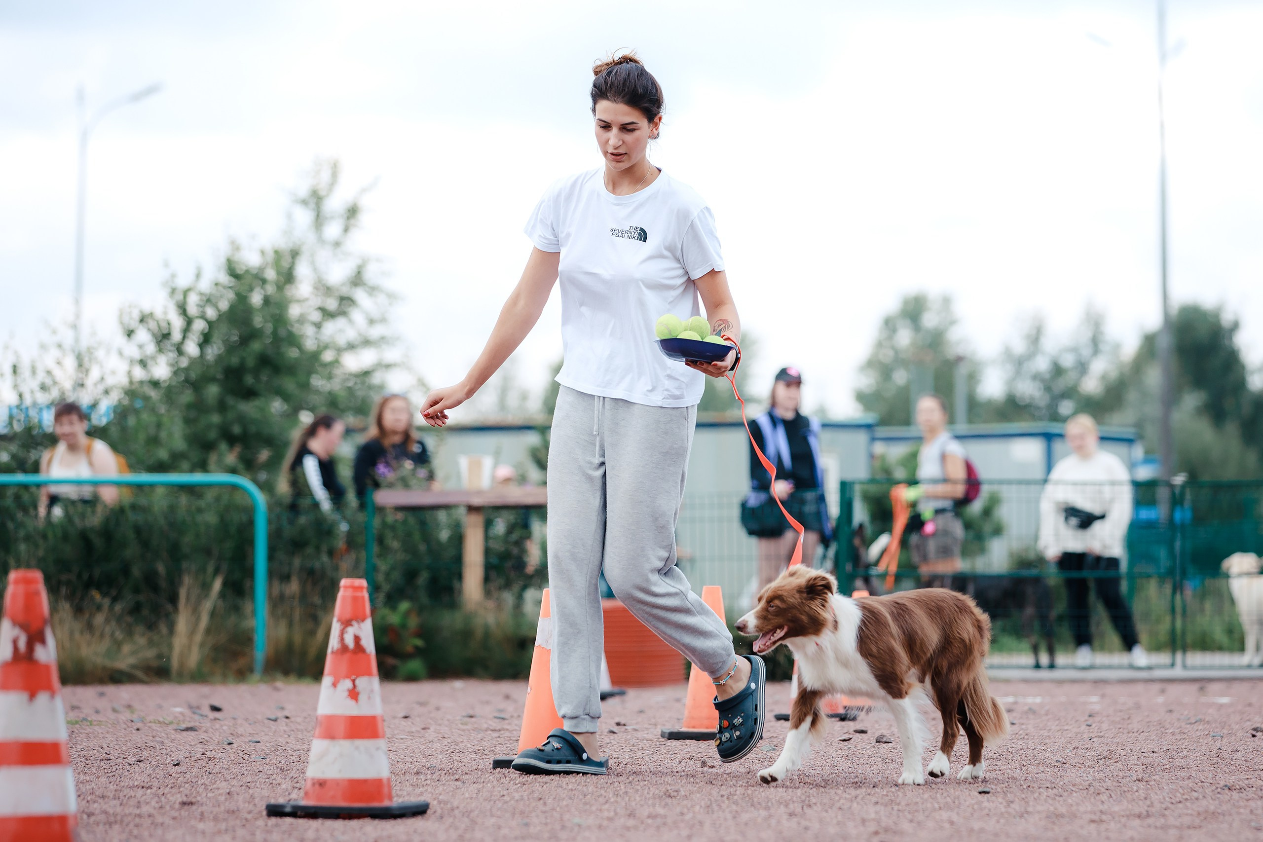 Питч&Гоу + веселые старты. Фотограф-анималист Mary Mart — Москва, Питер