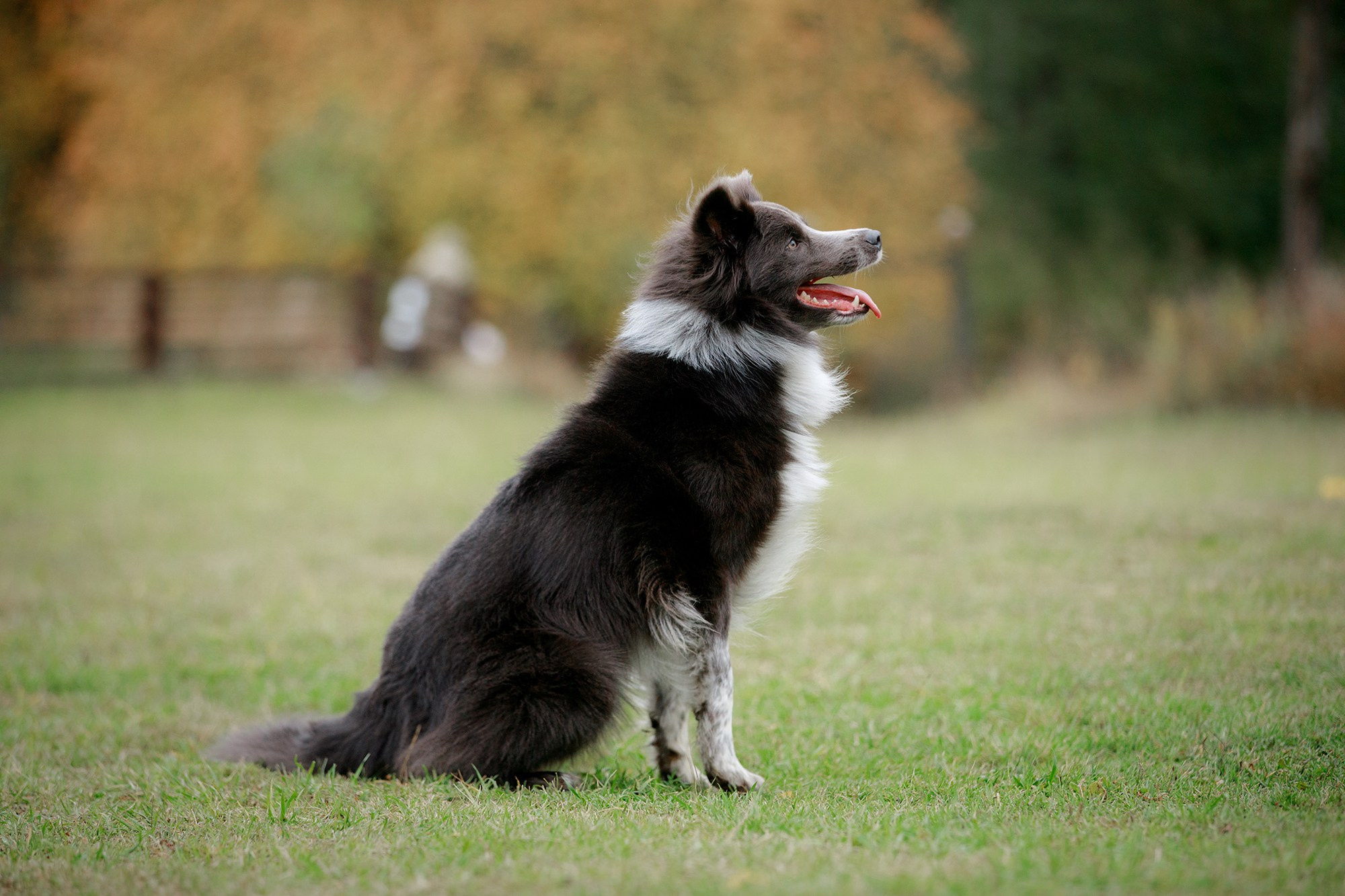 Лагерь по ОБД с Инной Баженовой. Фотограф-анималист Mary Mart — Москва, Питер