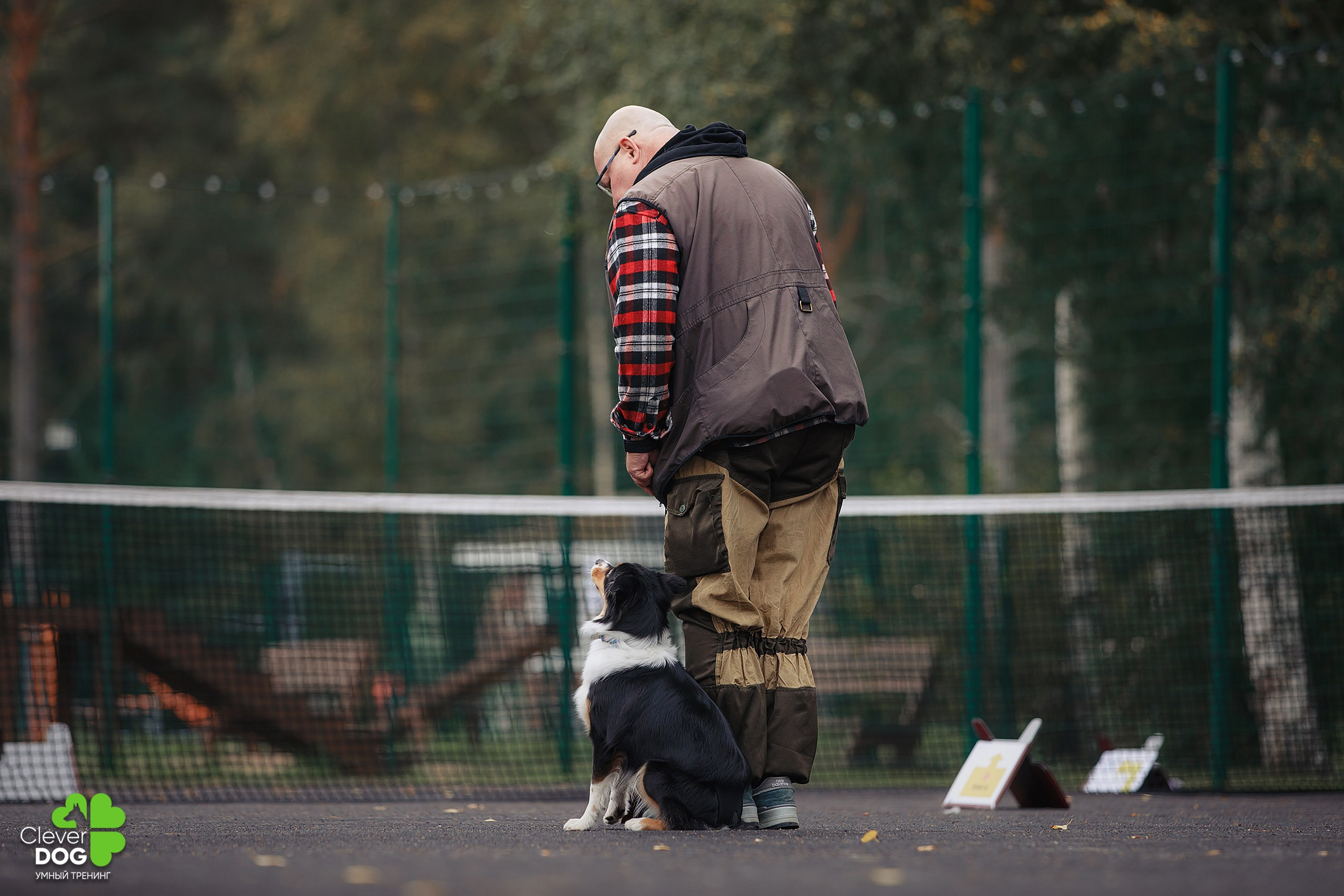 Кинологический лагерь CleverDog, 2024. Фотограф-анималист Mary Mart — Москва, Питер