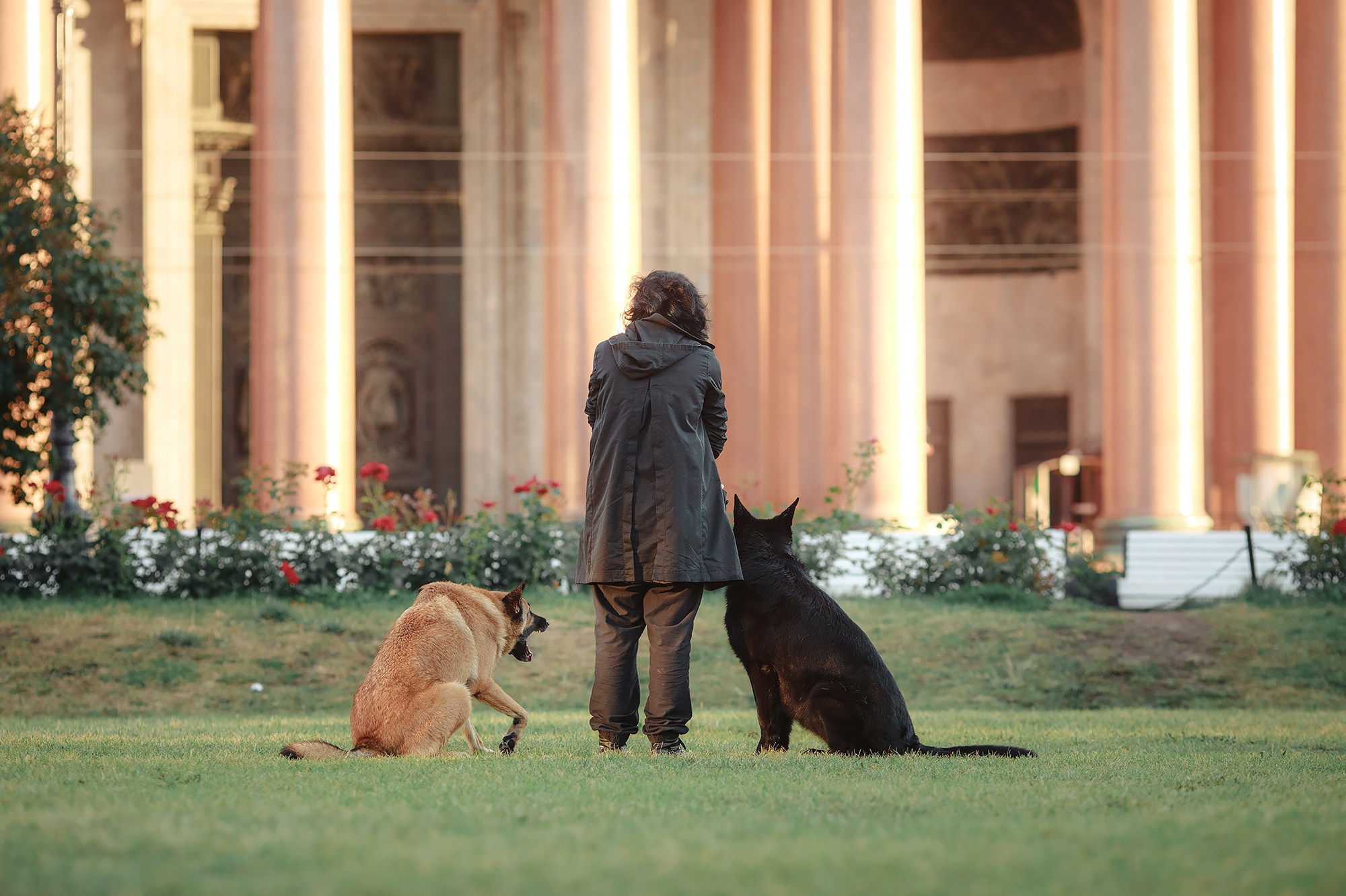 Алена, Кай и Мара. Фотограф-анималист Mary Mart — Москва, Питер