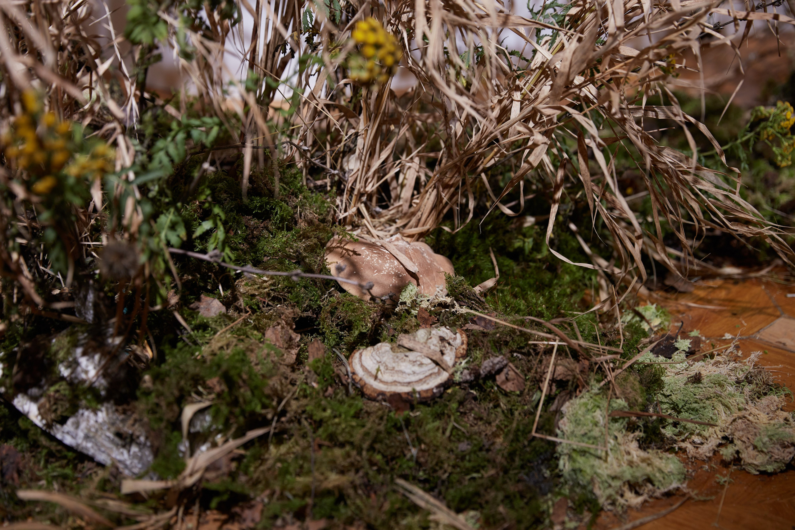 Лера & Вова. Оформление свадеб, декор свадеб Вера Маркова, Москва