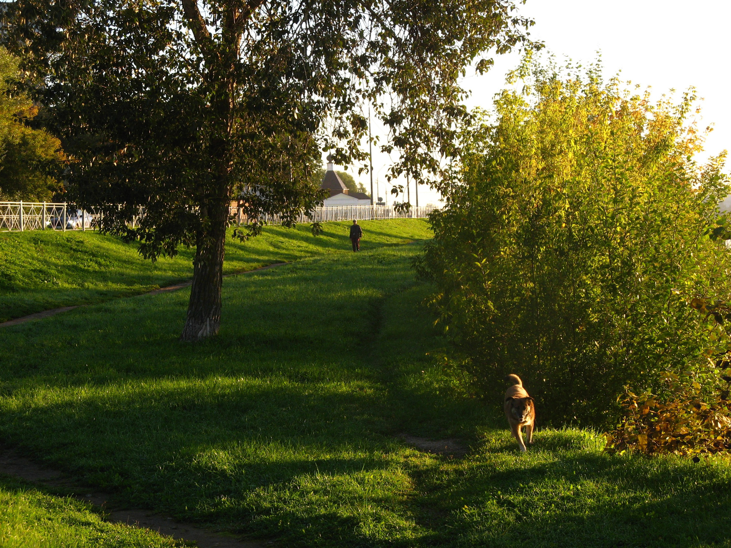 Сентябрь 2025. Den Mirov — Фотограф, Музыкант