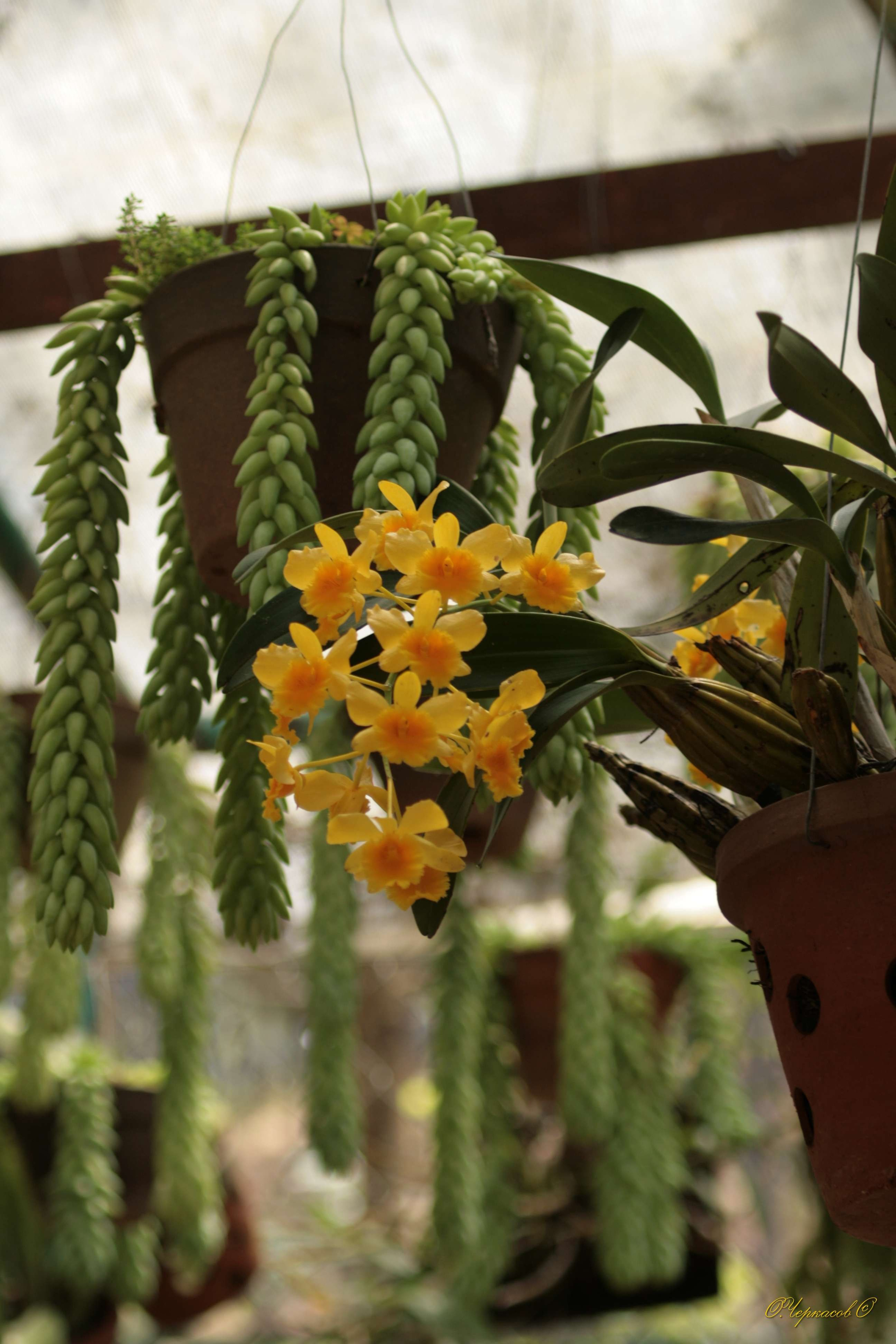 Вьетнам 2008 г. Улица, люди, жизнь…