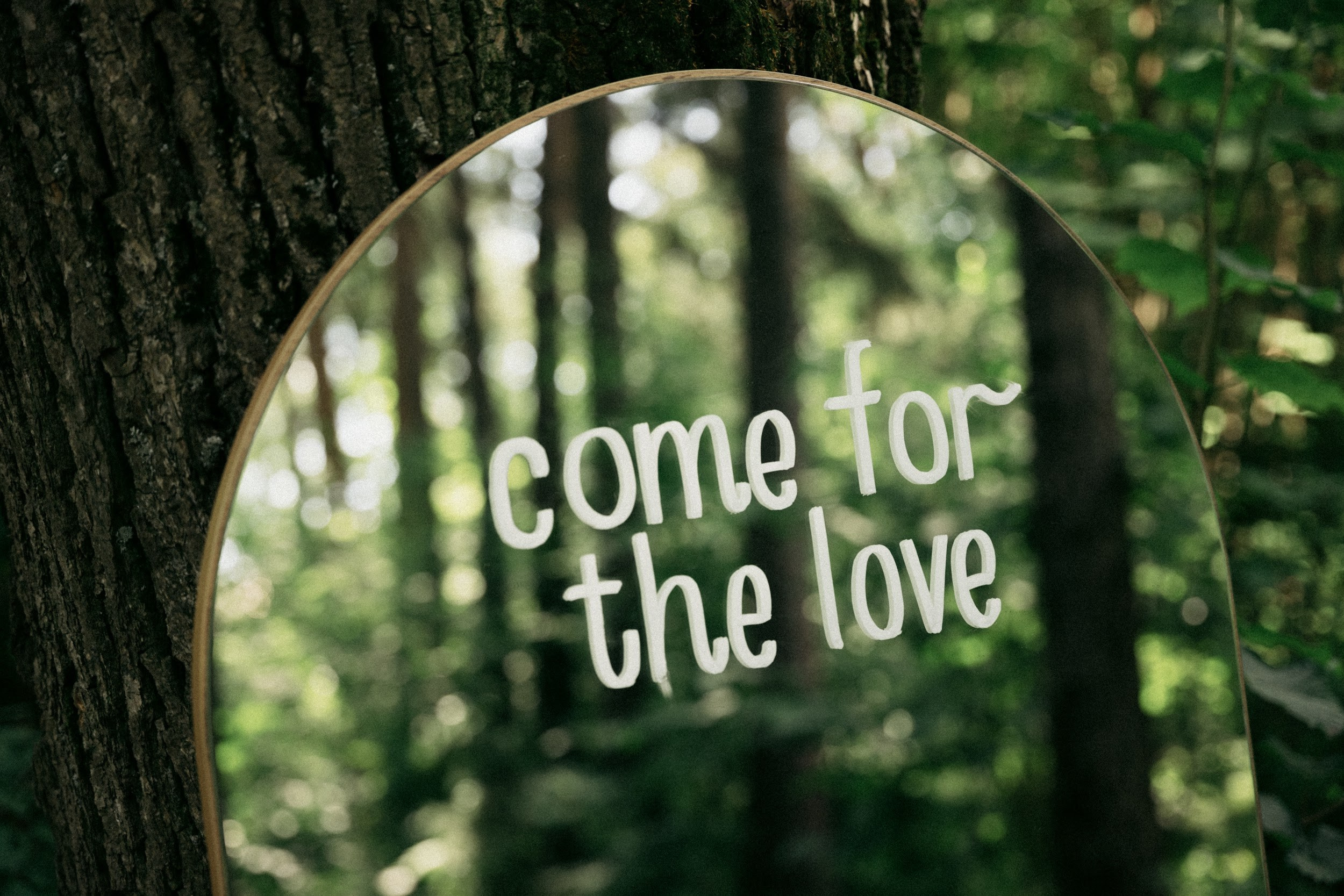 Лиза & Паша. Оформление свадеб, декор свадеб Вера Маркова, Москва