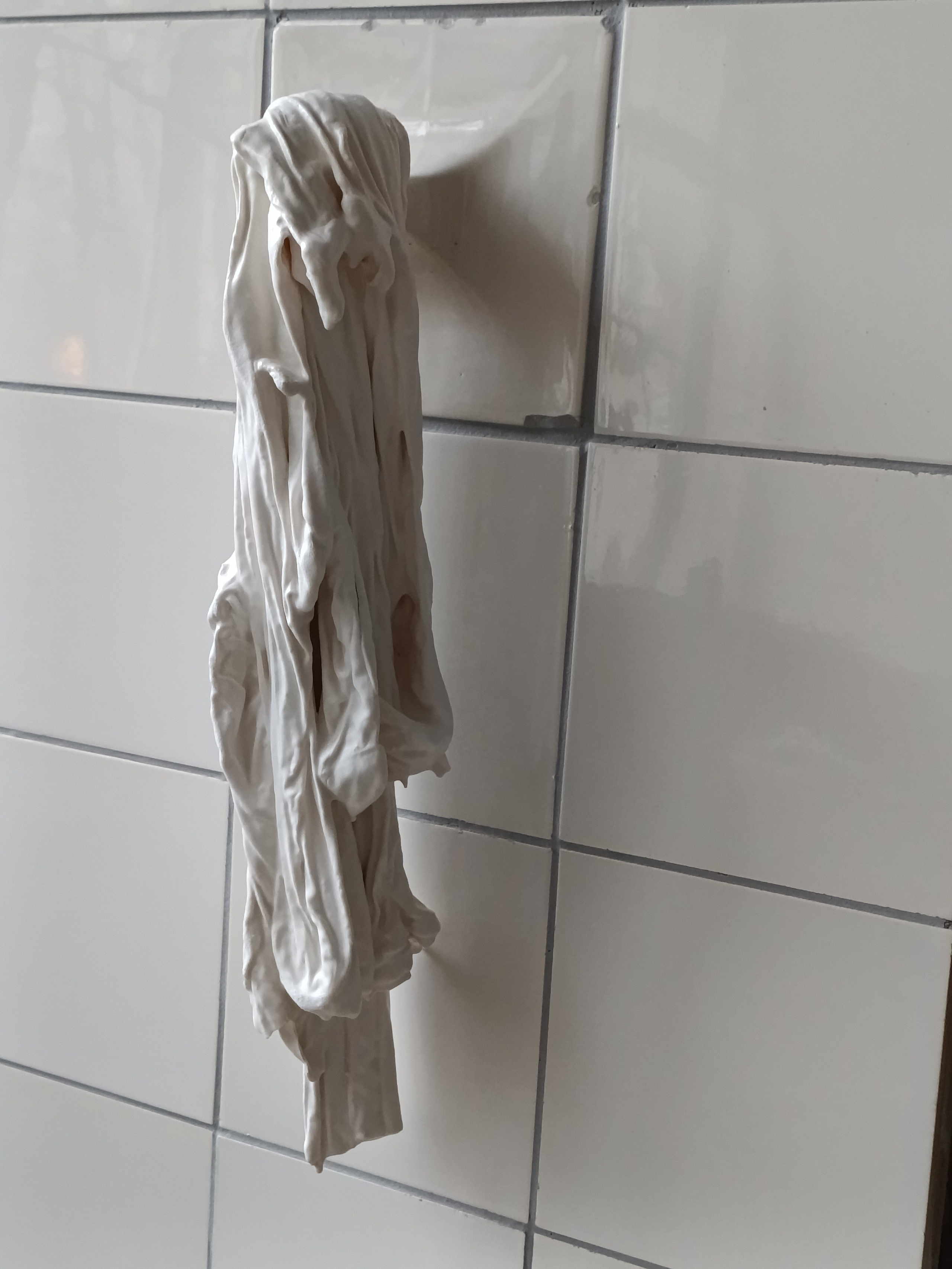 Проект *Стирание рутин*. Семенова Елизавета художник