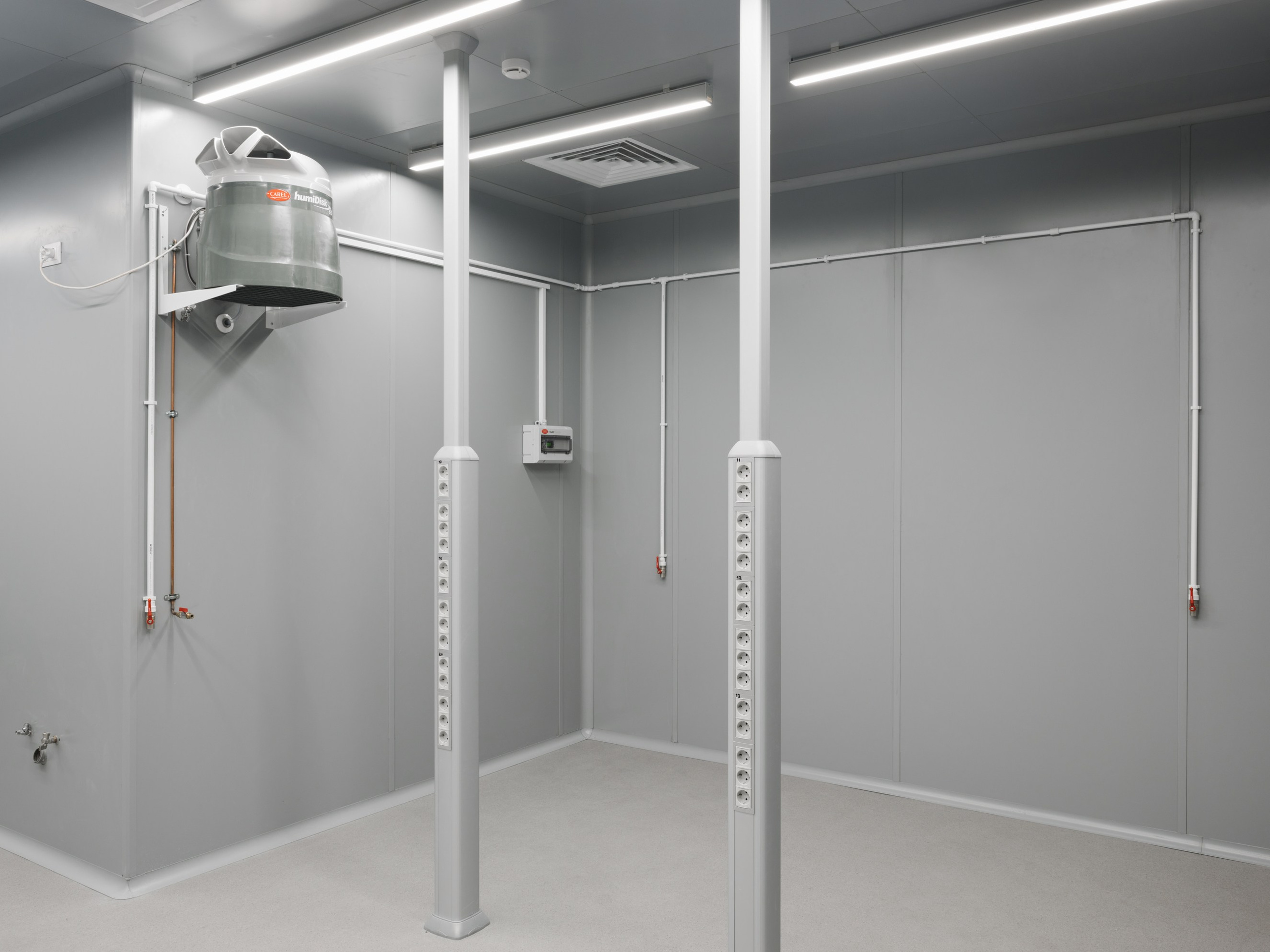 Editorial. Ksenia Inverse visual artist