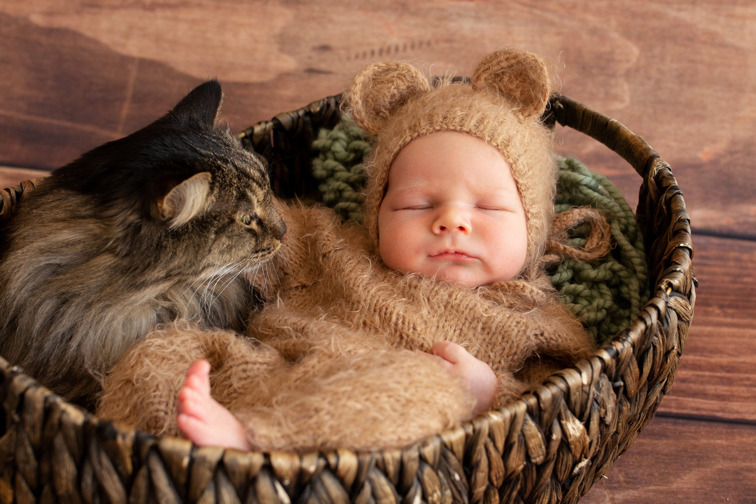 Фотосессия новорождённых мальчиков. Фотограф новорожденных в г. Миасс Анна Плотникова