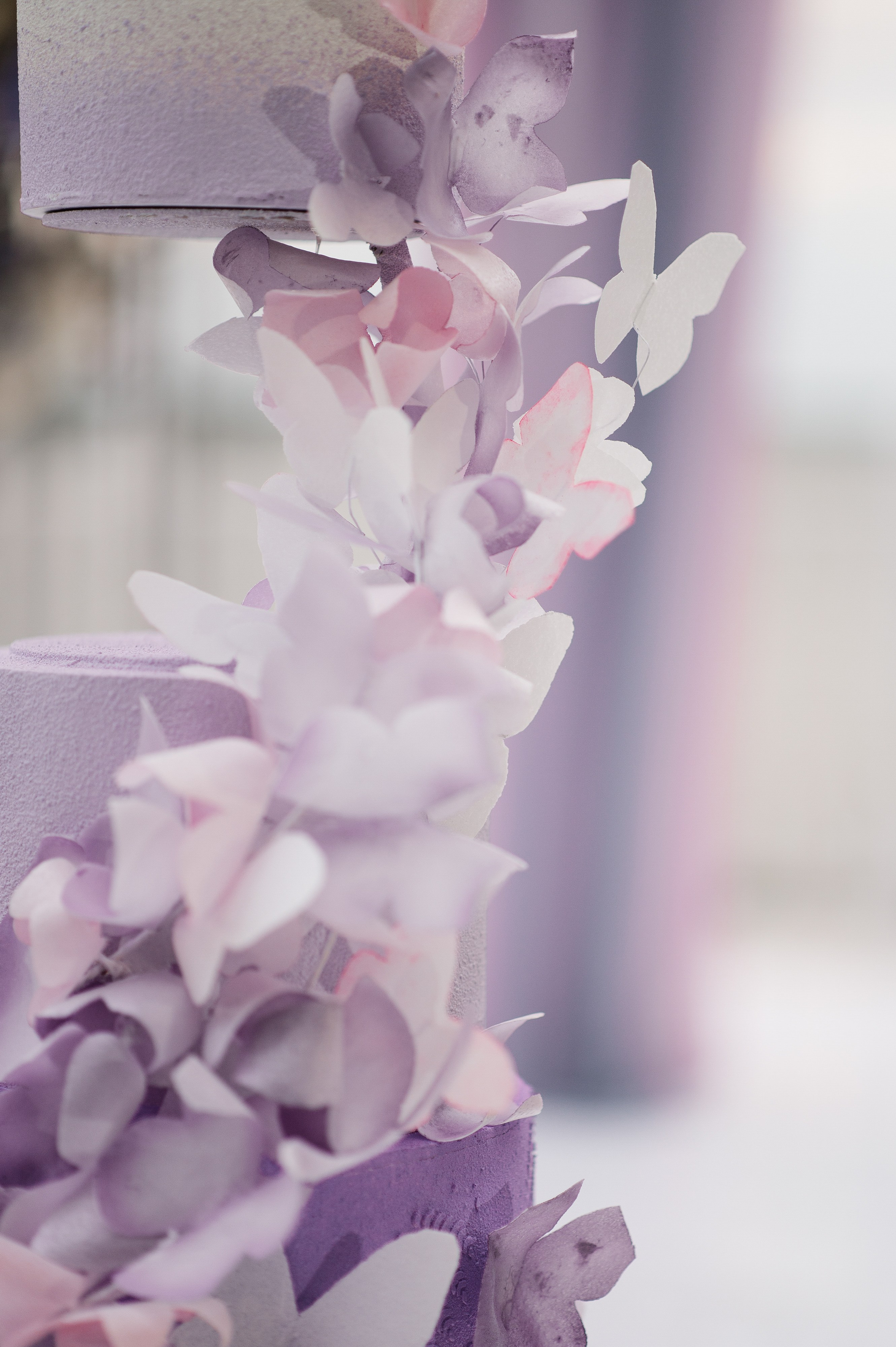 Шлейф для енота. Свадебный фотограф Саша Базенко