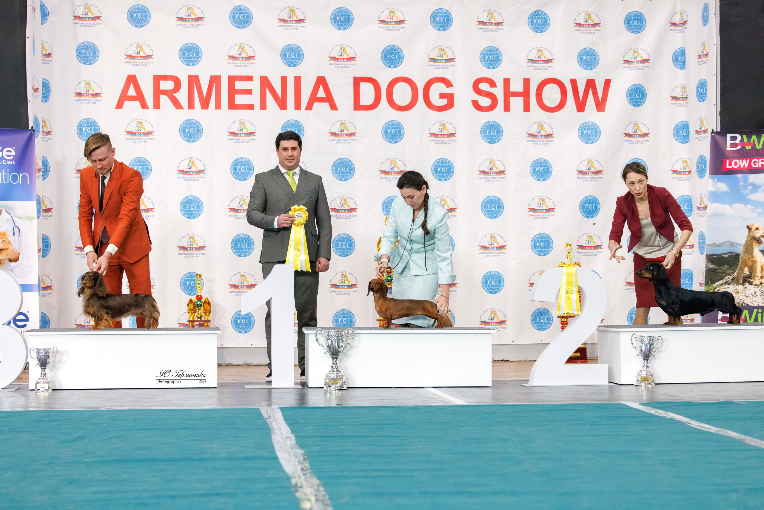 Ереван 2х CACIB 29-30.04.2025. Фотограф-анималист Юлия Германика