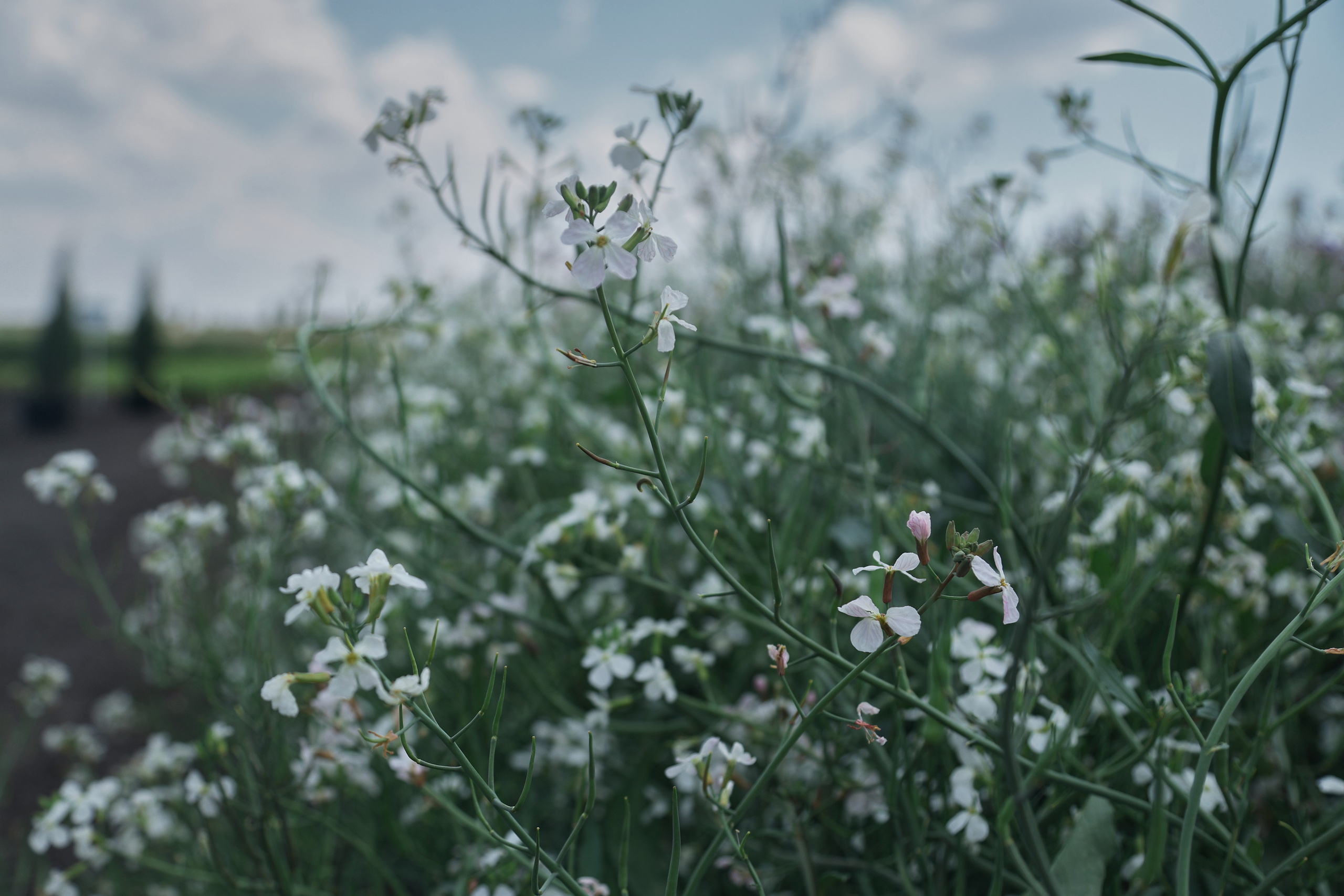 Репортаж. Женский и контент фотограф Данилина Ирина в Москве