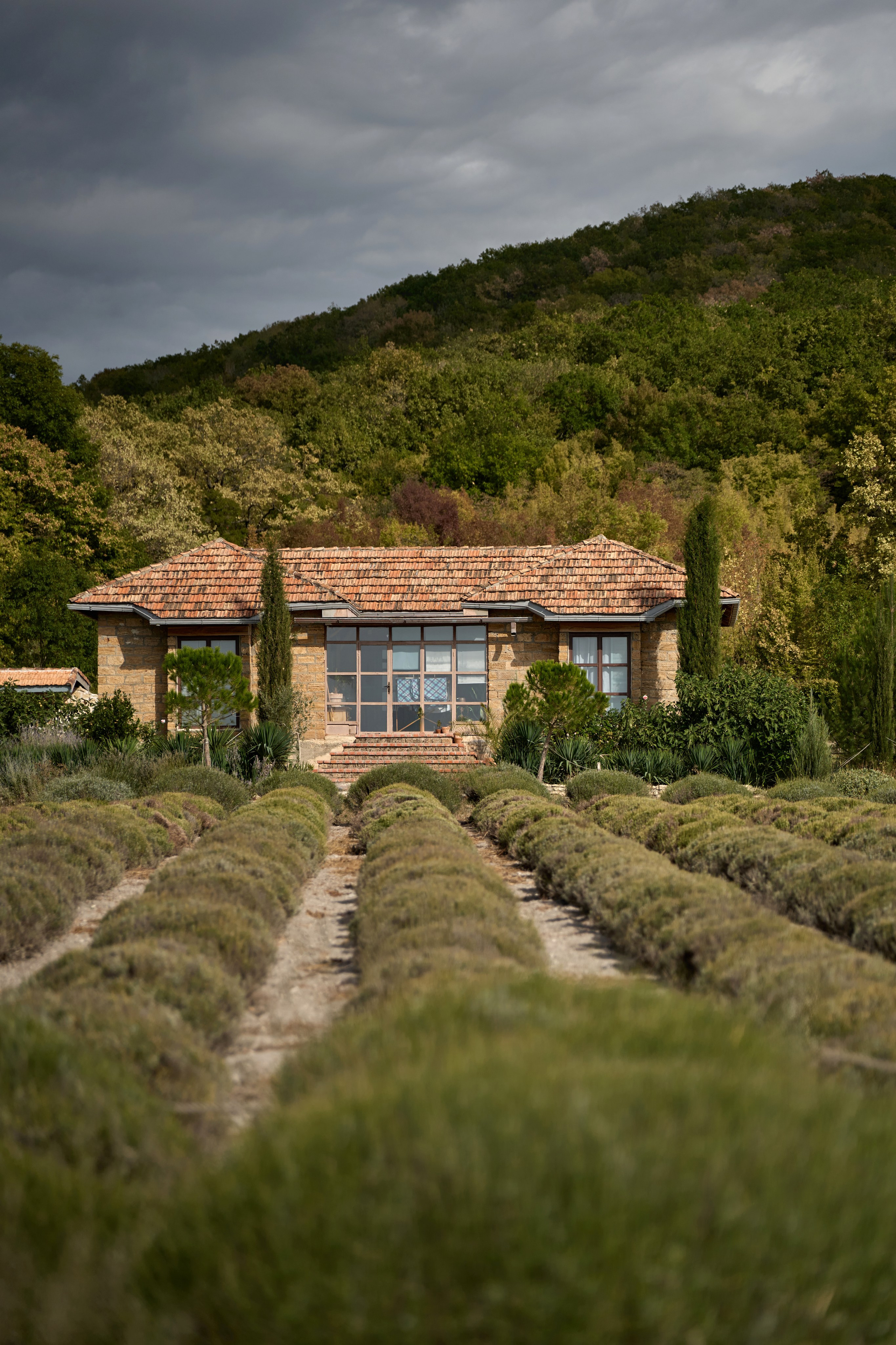 Фотосессия в Maison Des Plantes. Карпенко Марина свадебный и семейный фотограф Анапа, Краснодар, Геленджик, Сочи, Темрюк