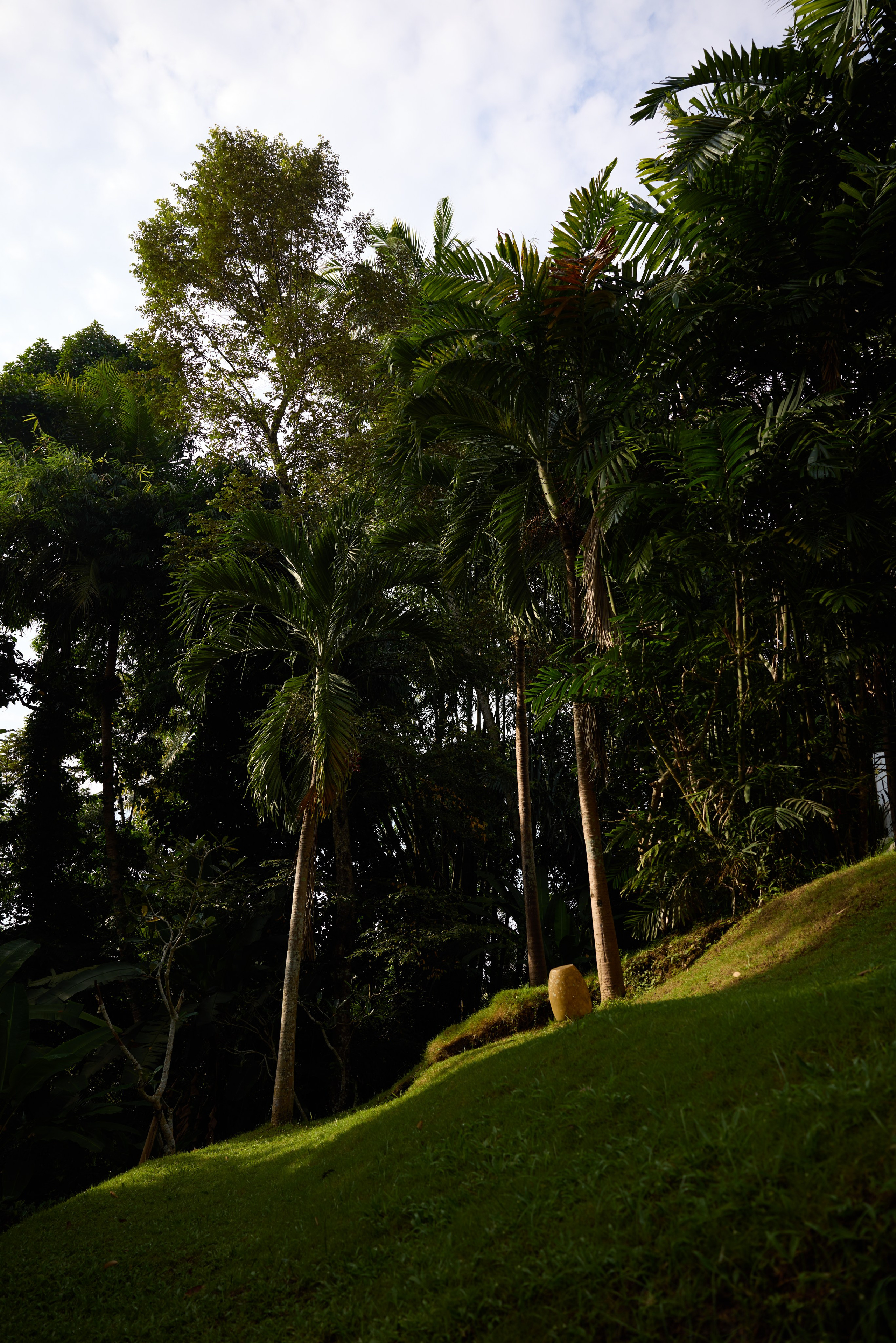 Бали. Ретрит «Love is in the air»Март 2025 Фото. Профессиональный фотограф Татьяна Евглевская