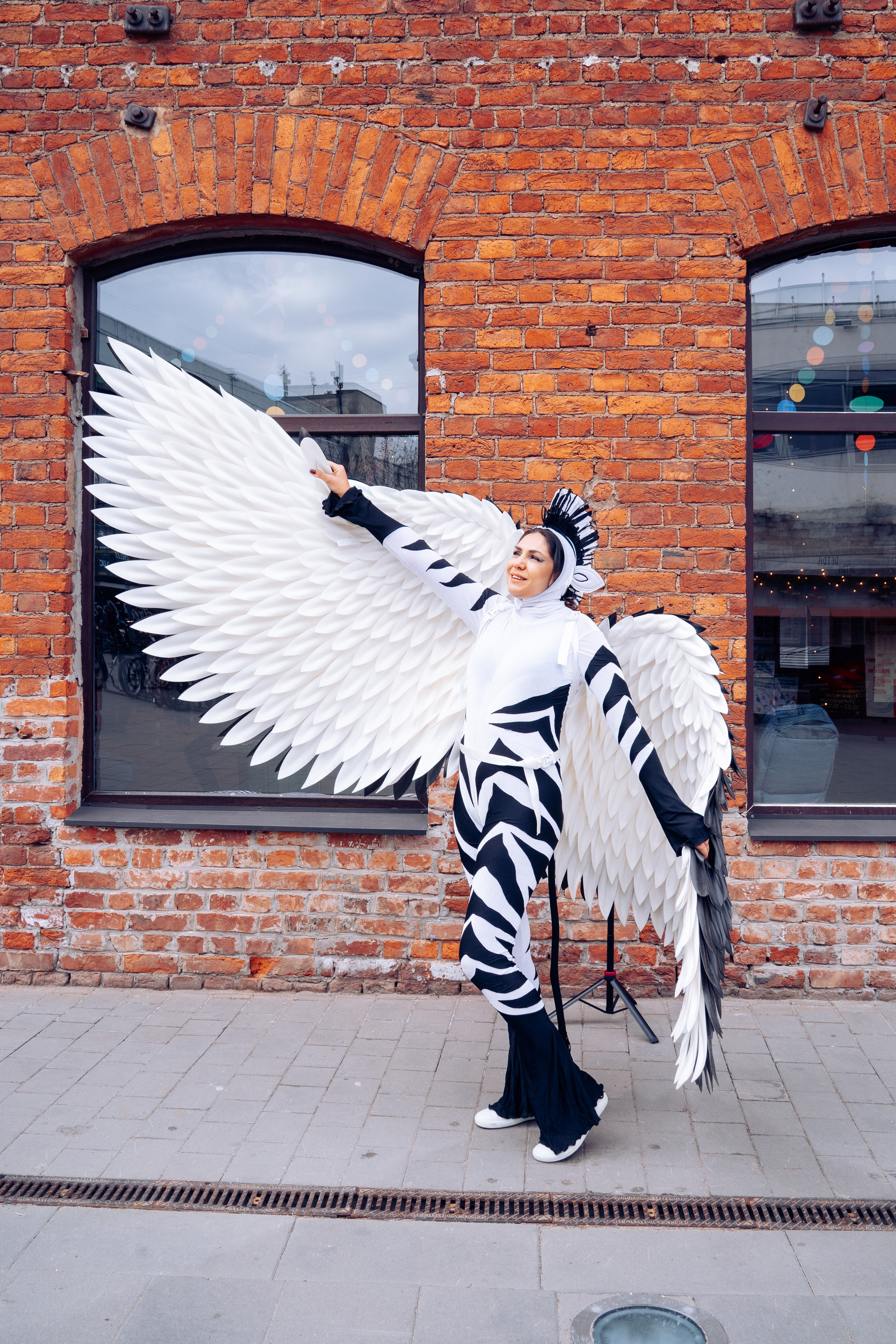 Crazy Zebra на фестивале Монгольфьери. Ваш фотограф в Санкт-Петербурге Анна Просвирина