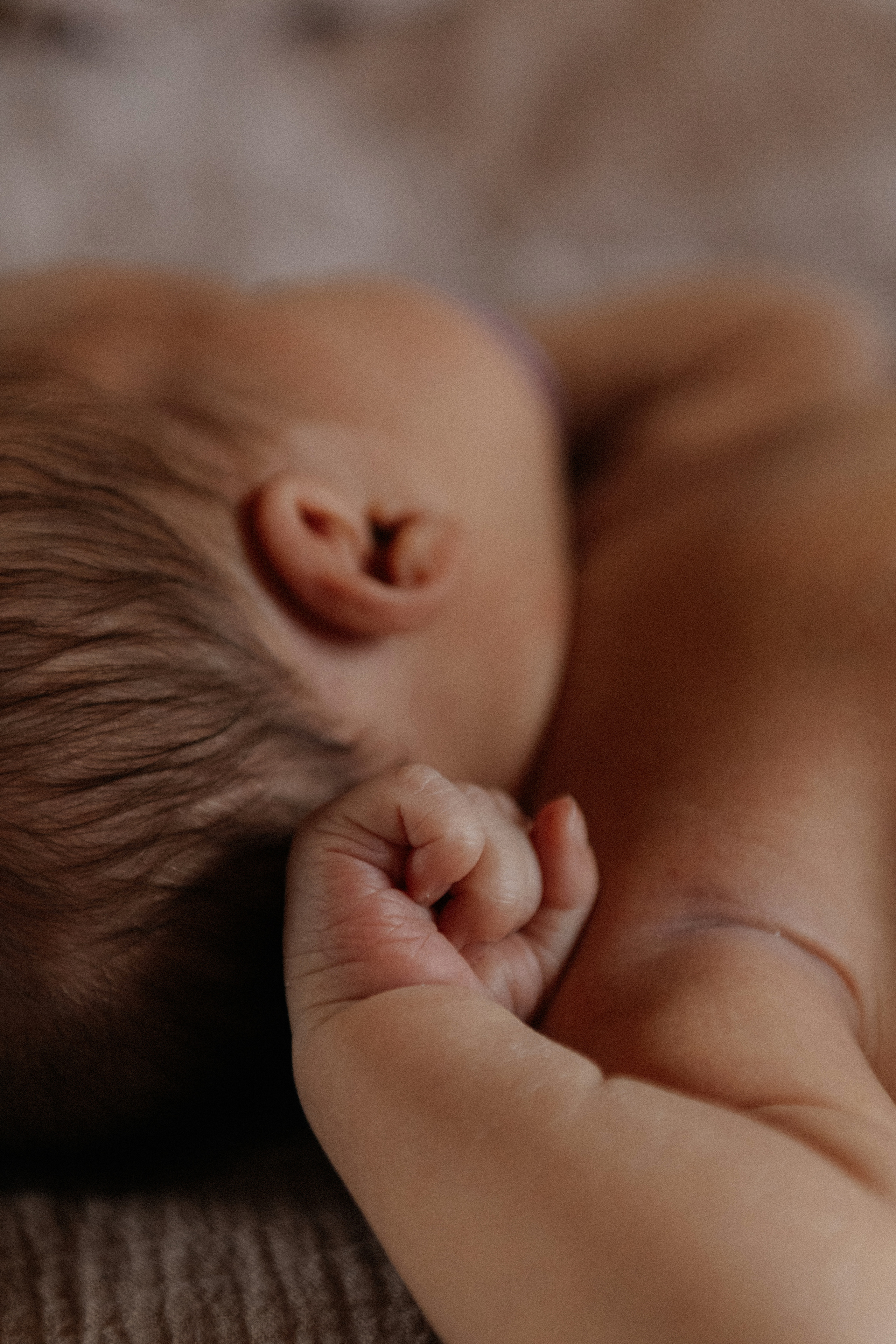 Семья Заскалиных. Семейный и детский фотограф в Нижнем Новгороде Буслаева Мария