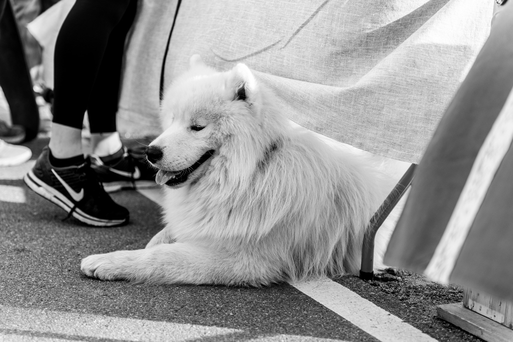 Дух времени. Репортажная съёмка в Санкт-Петербурге, Константин Петров