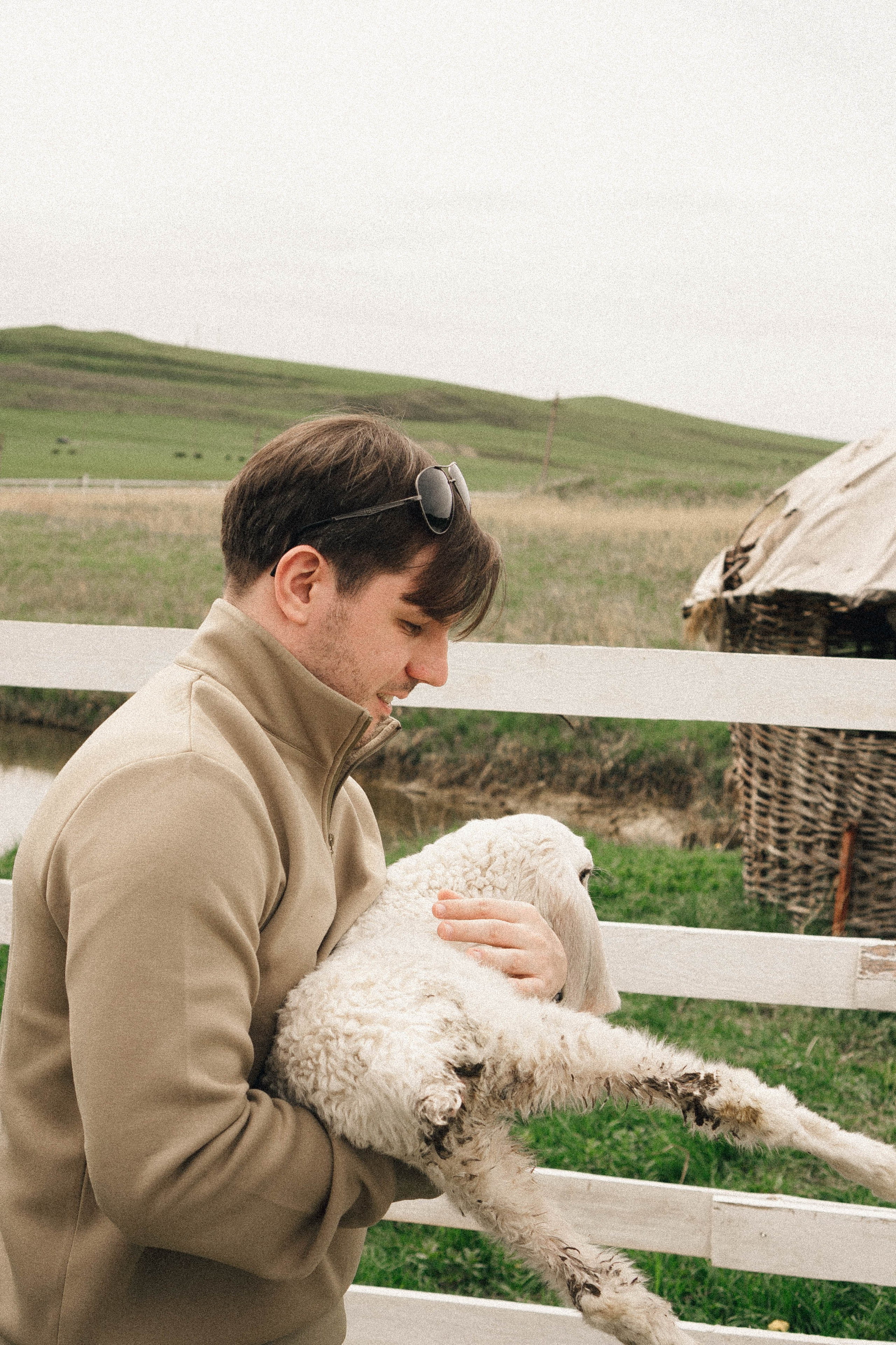 Ферма Альпак. Профессиональный фотограф, Санкт-Петербург — Виктория Богомолова