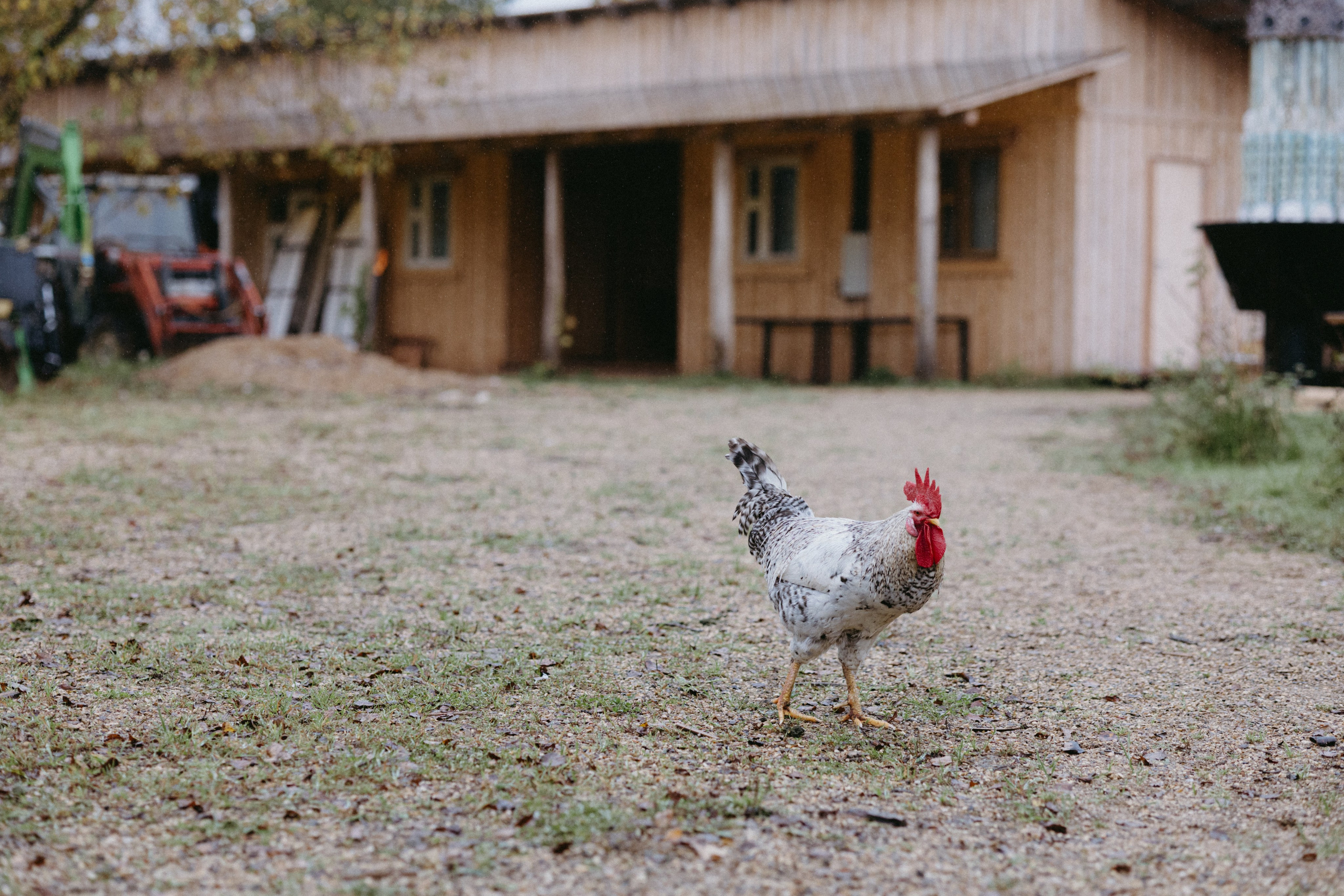 Новые земли. Про любовь