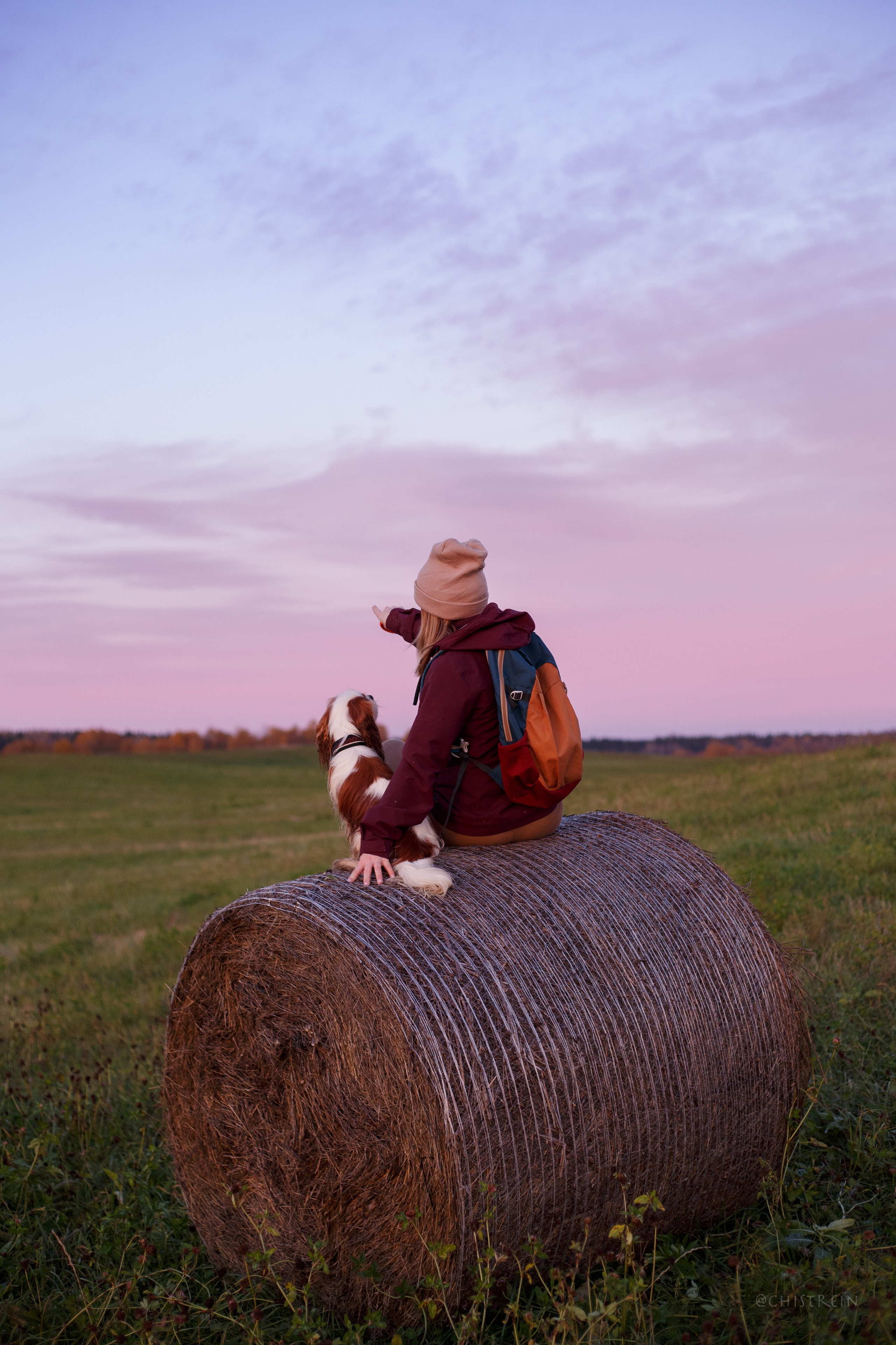 Октябрьский закат в полях. Алина и Лео. Фотограф-анималист Наталия Чистюхина в г. Сосновый Бор и ЛО