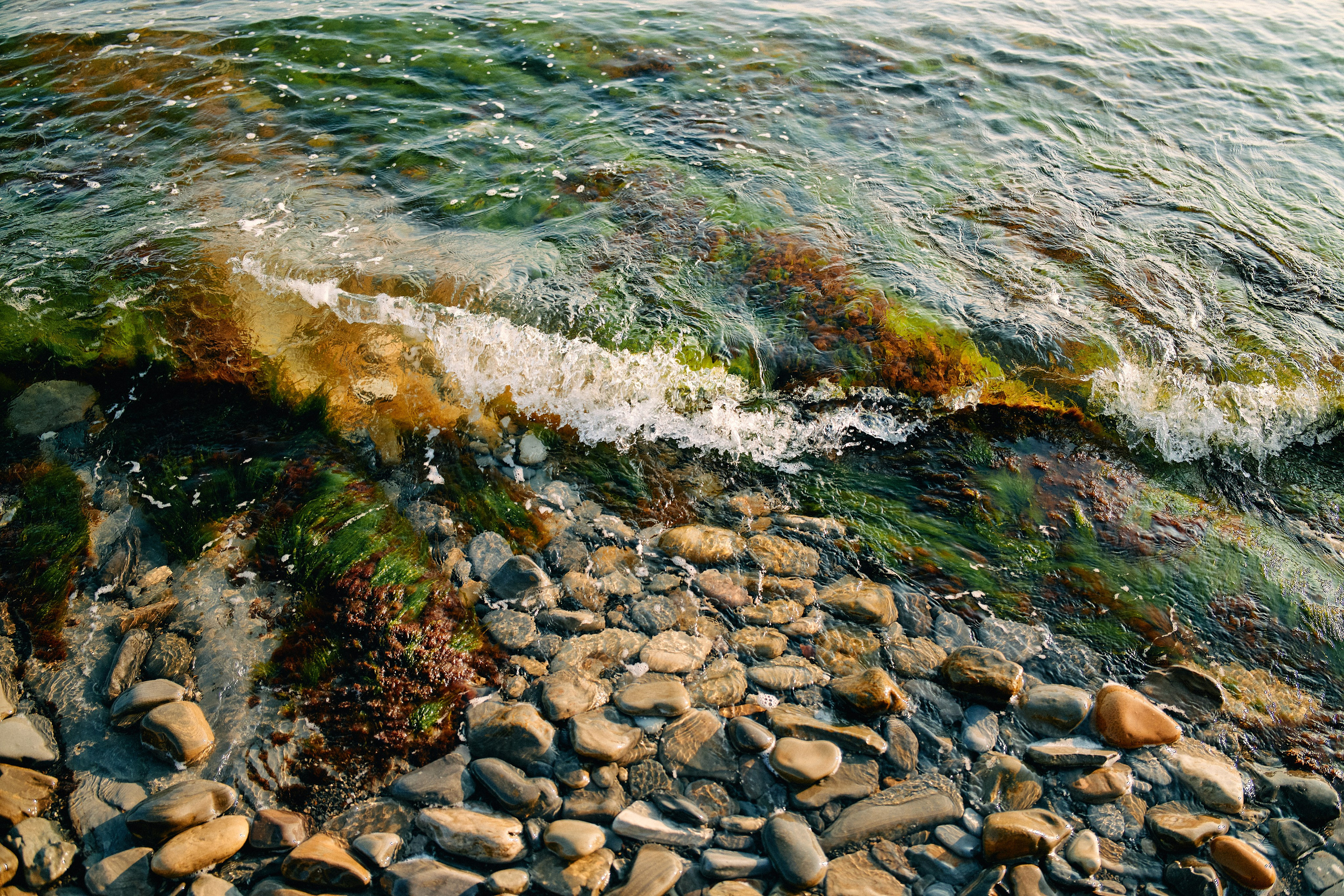 Юг России. Профессиональный Фотограф во Владимире, в Москве и в Суздале — Полина Романычева