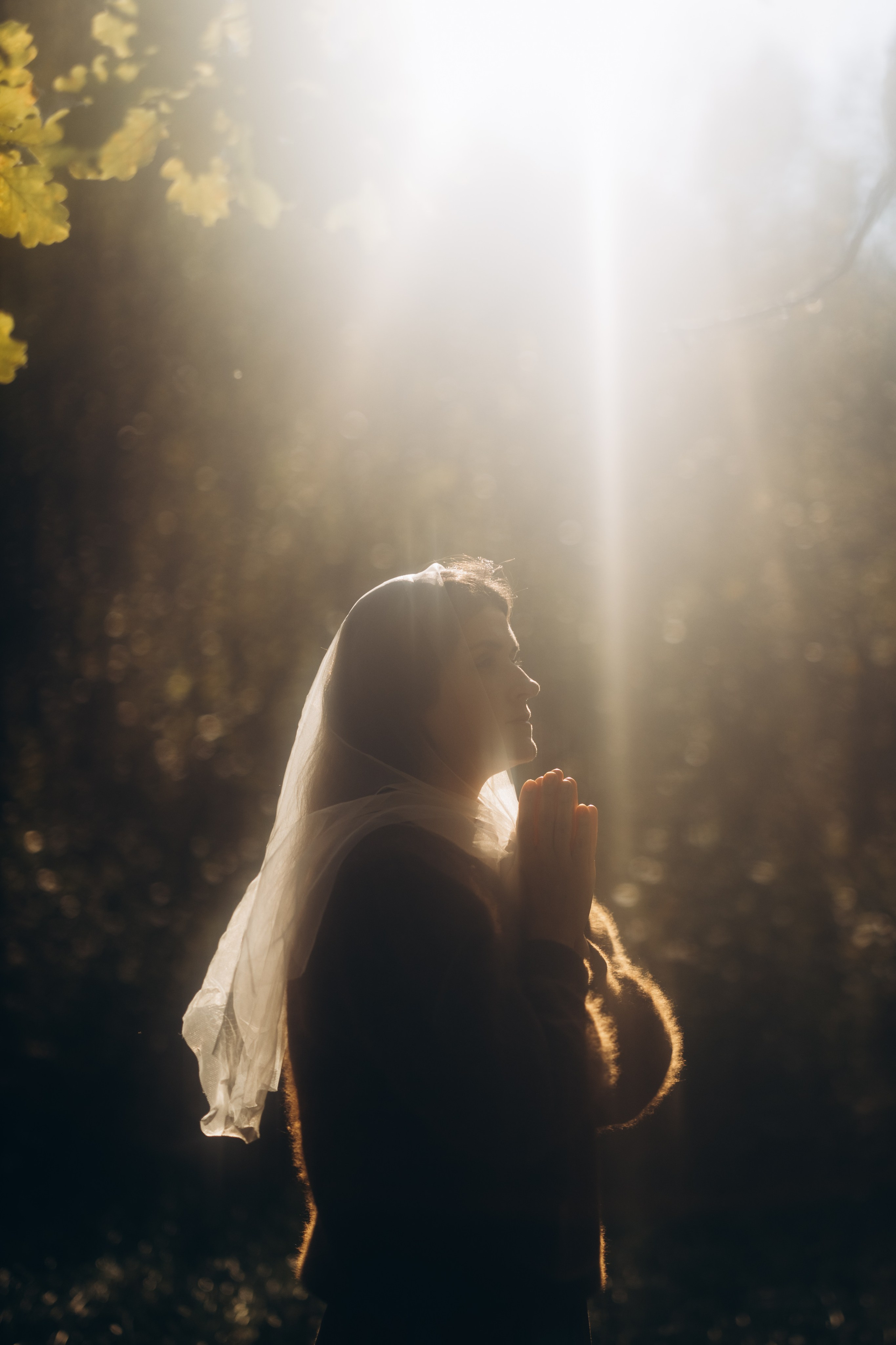 Женский портрет. Annauskova