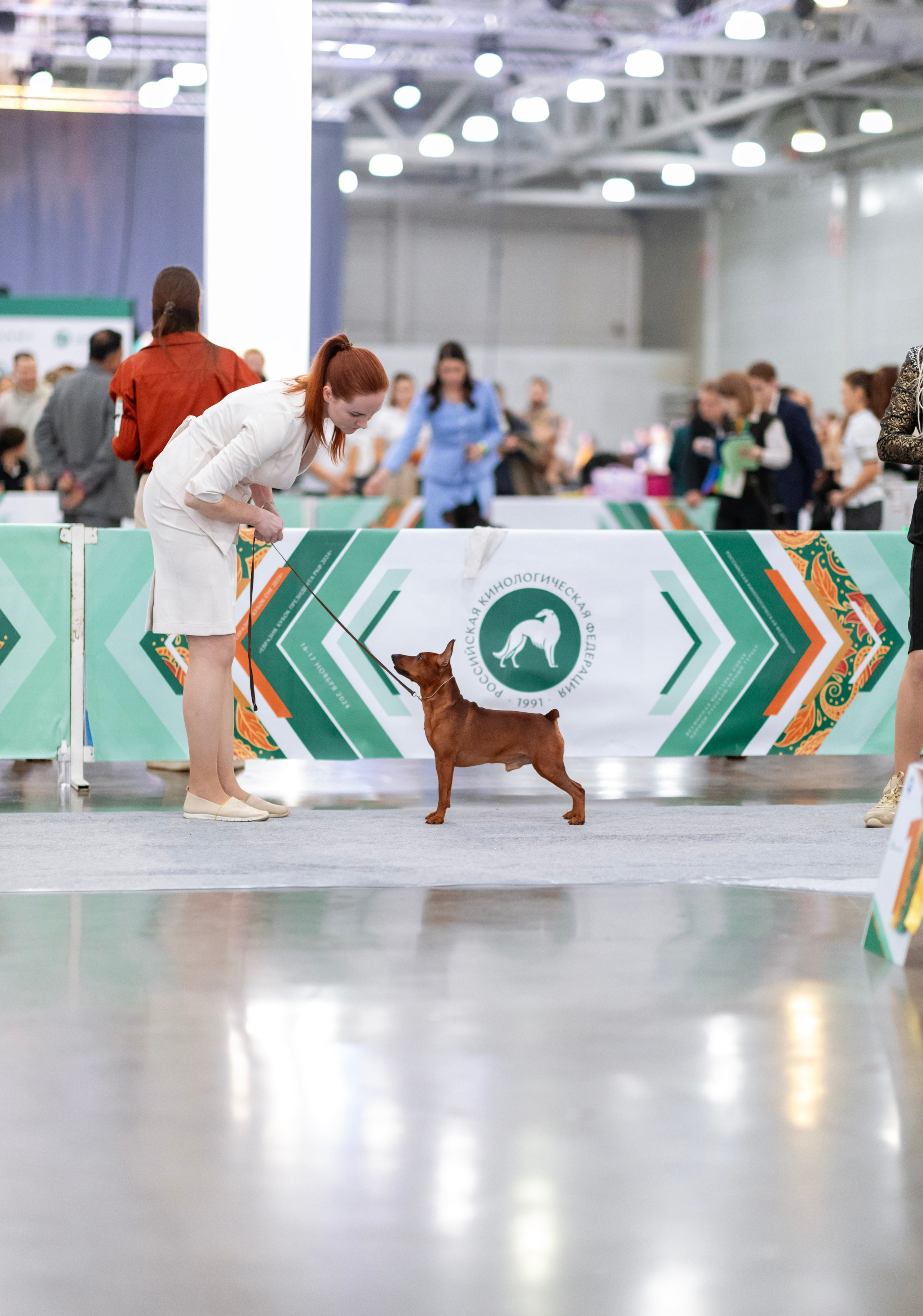 Евразия. Фотограф — анималист Татьяна Ли