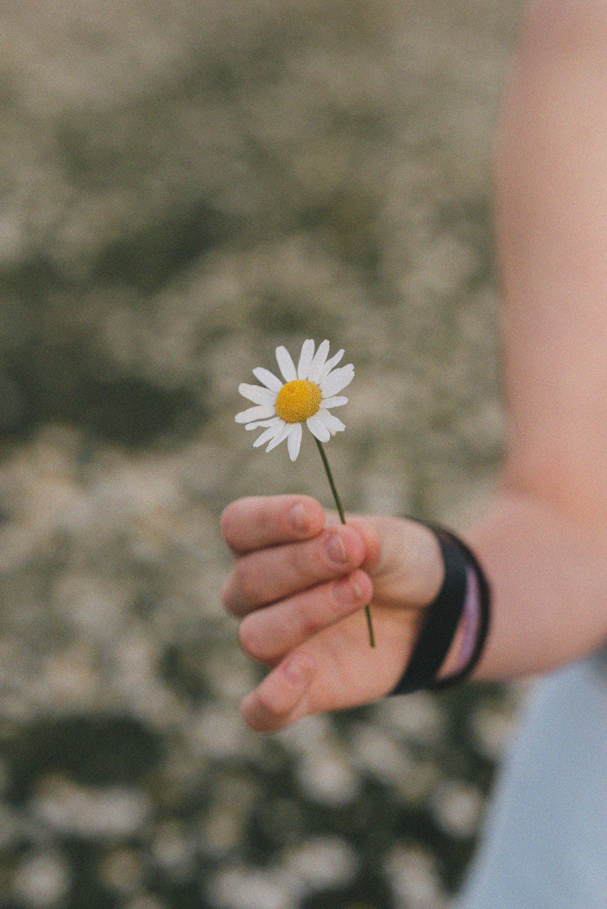 Лера и Варя. Детский и семейный фотограф Катерина Мишина