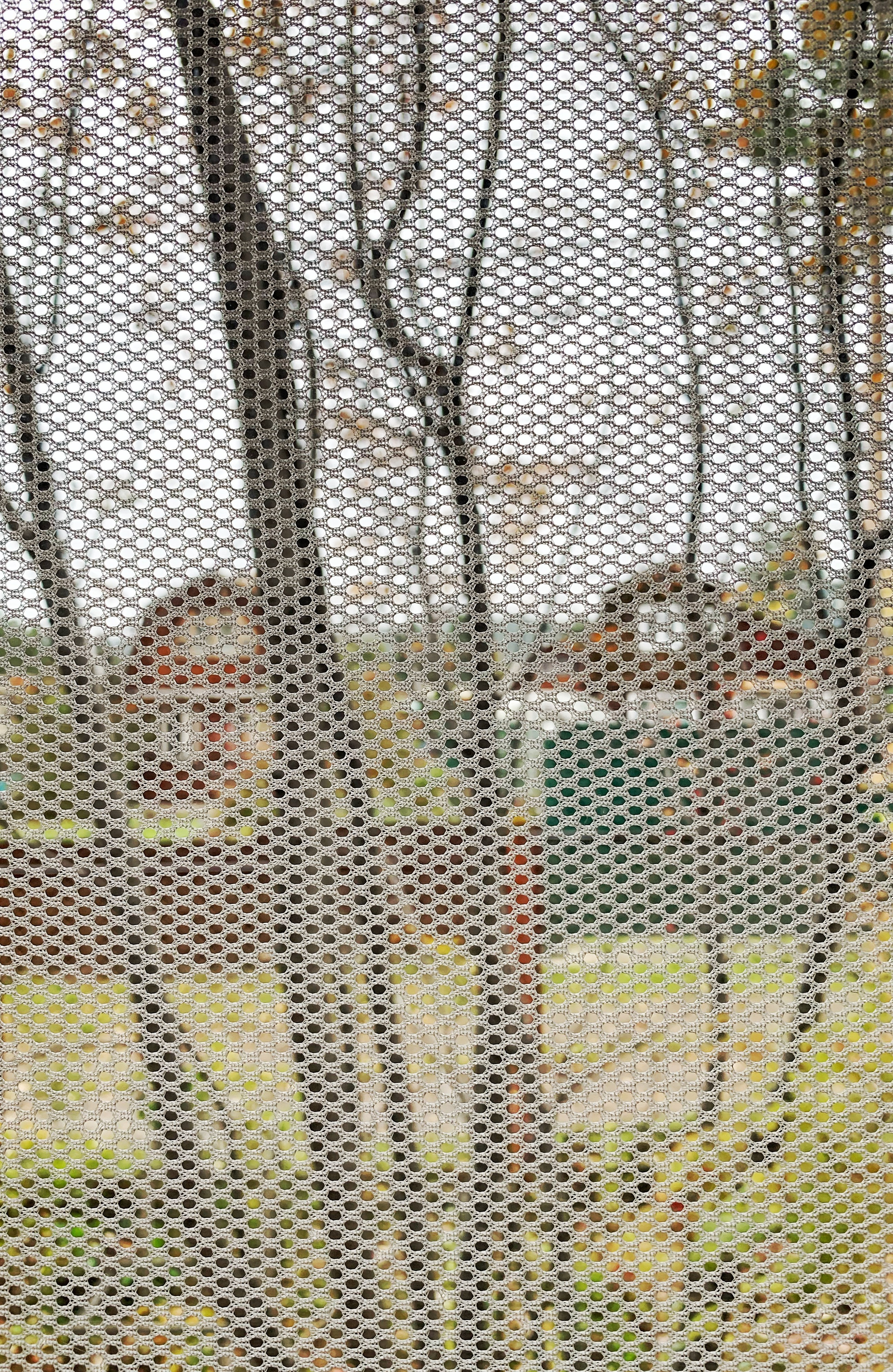 2020. Тащилин Сергей. Фотографии. Жизнь. Хобби