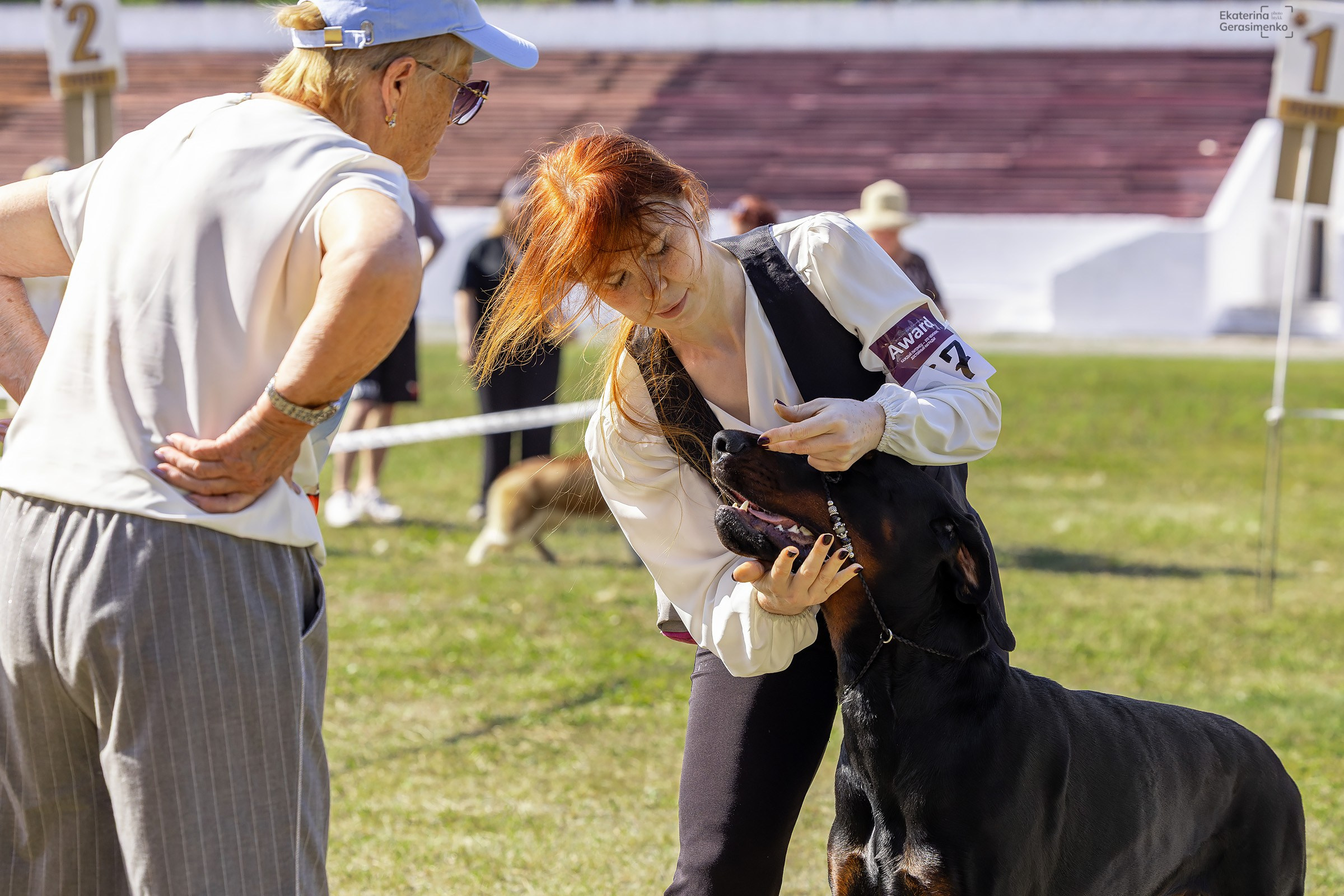 2–3 августа 2025, Выставка РКФ, г. Пермь. Htykk_photo