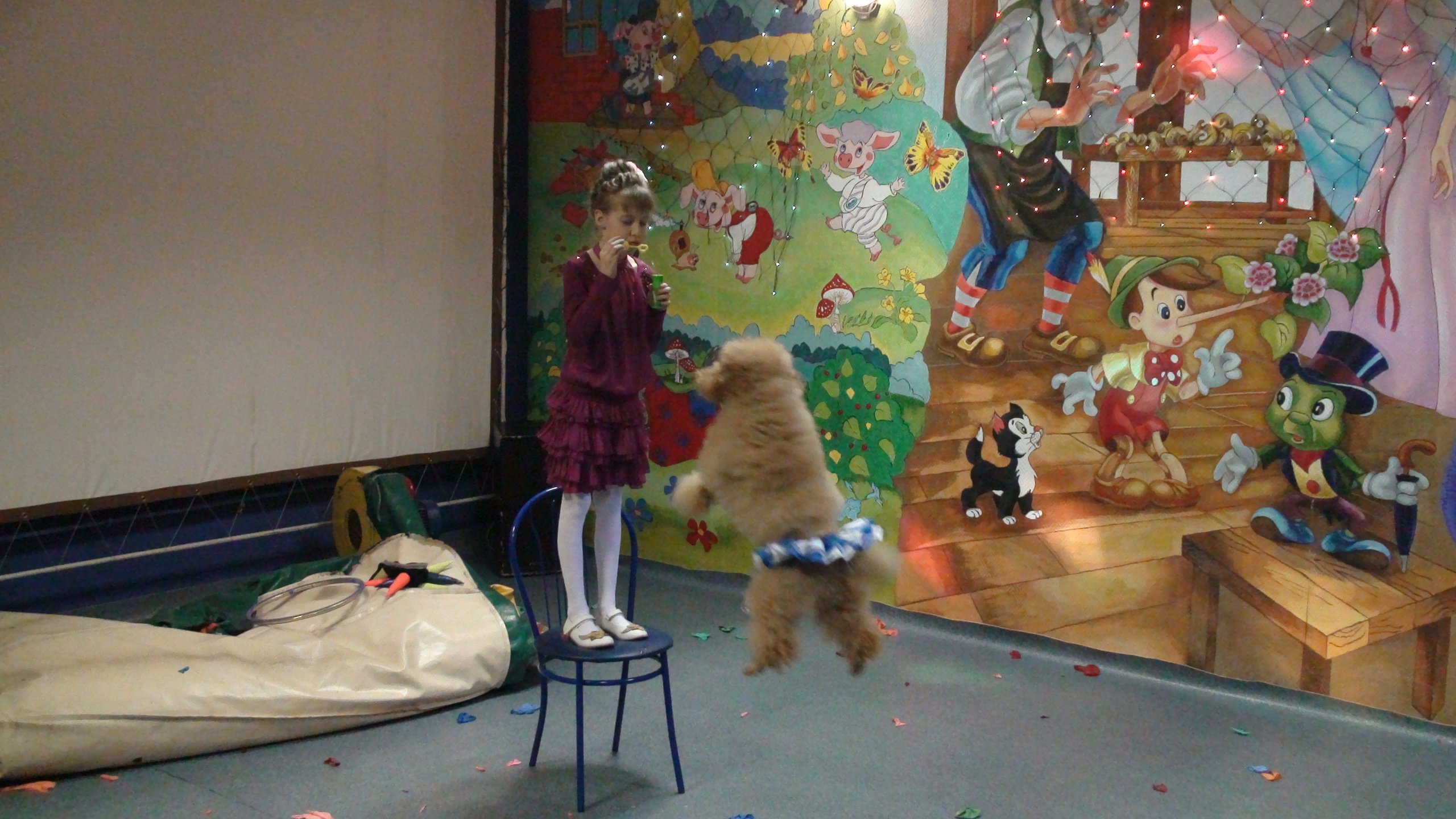 Катя ДР 10 лет Василек 05.12.2009. Семейный, Свадебный фотограф СПБ Питер— Романова Екатерина