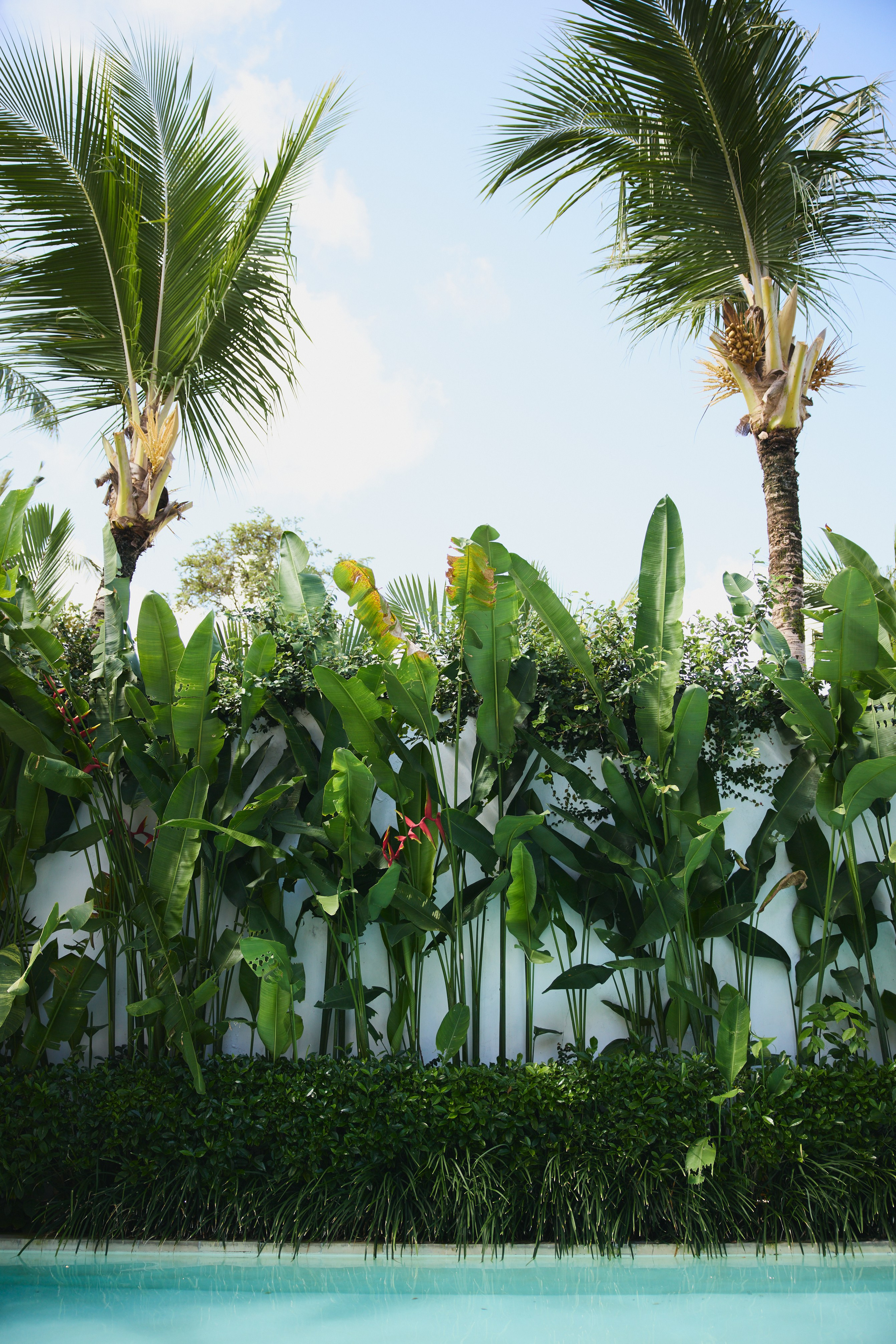 Ретрит Бали '26 «Be Your Own Muse»Март. Профессиональный фотограф Татьяна Евглевская