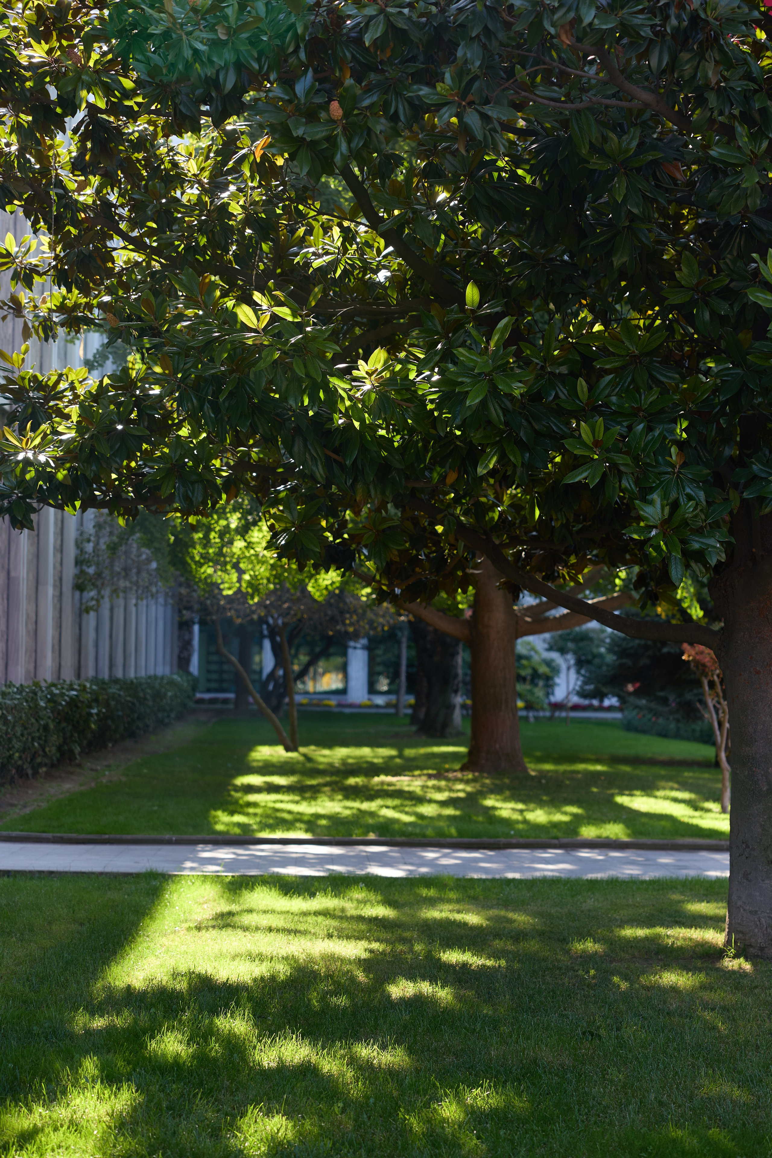 Стамбул 24. Фотограф Москва, Дима Пеллер