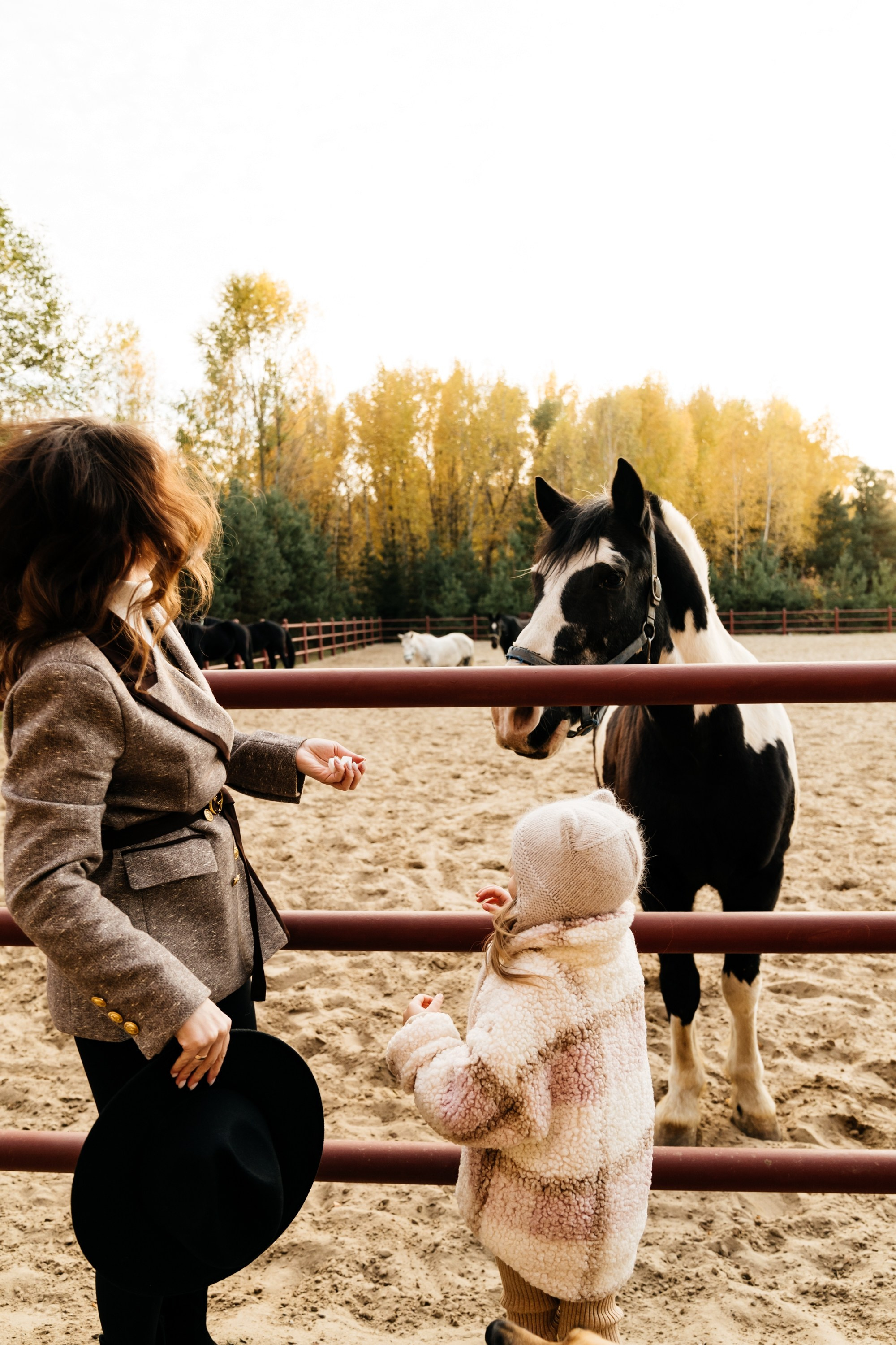 Конюшня. Семейный и женский фотограф в Белгороде Мария Алексеева