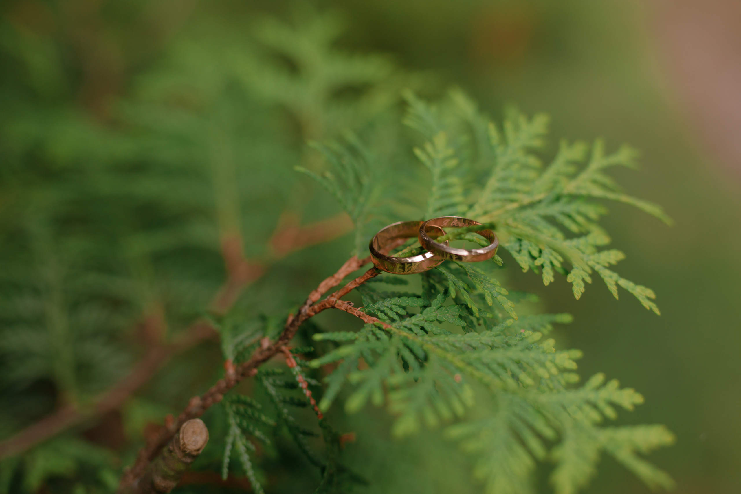 Яна & Дмитрий. Фотограф Смелова Ирина Кострома