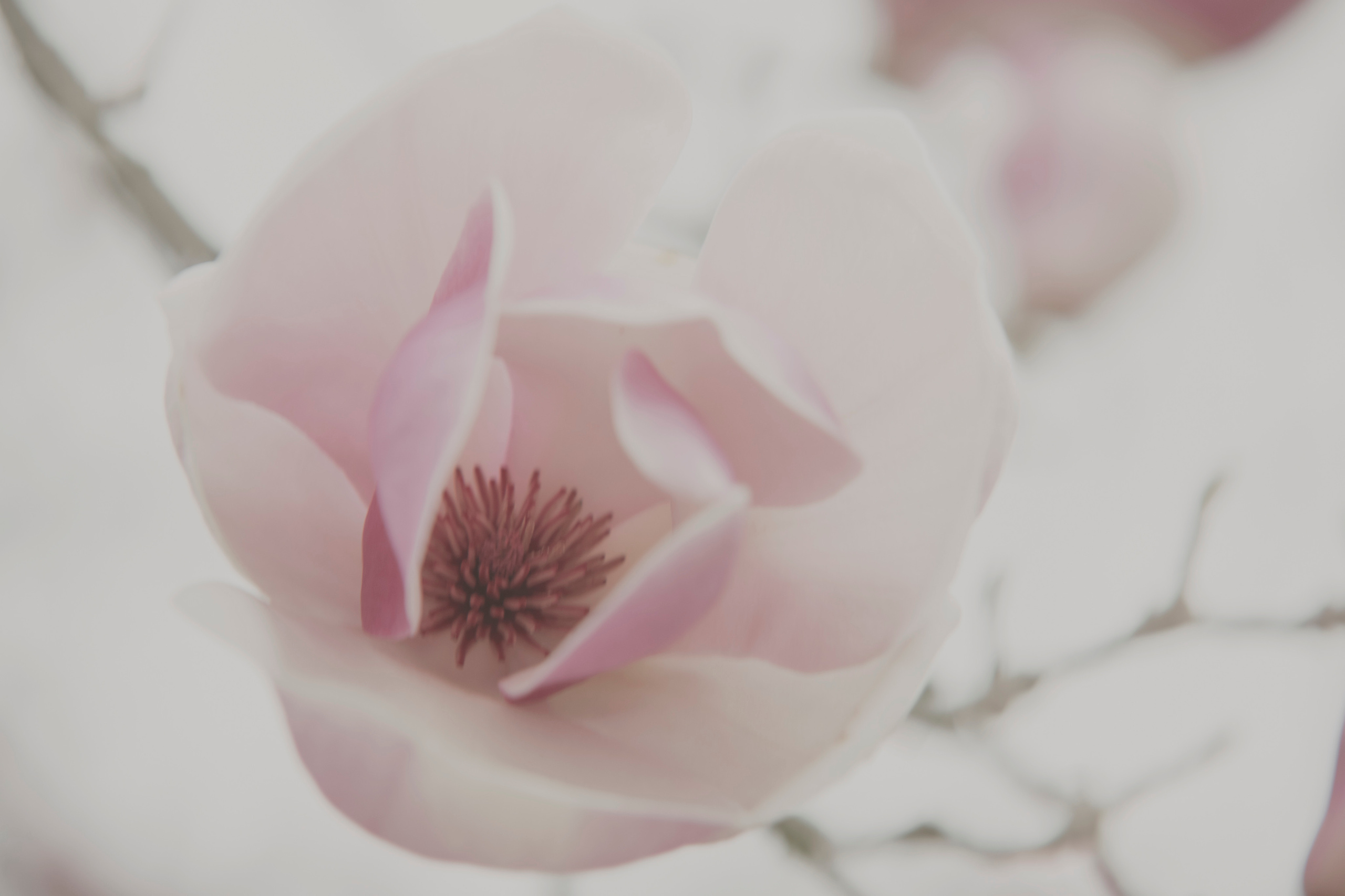 MOTHER (in progress). Anastasiia Antoniuk portrait, family and couple photographer, Portugal