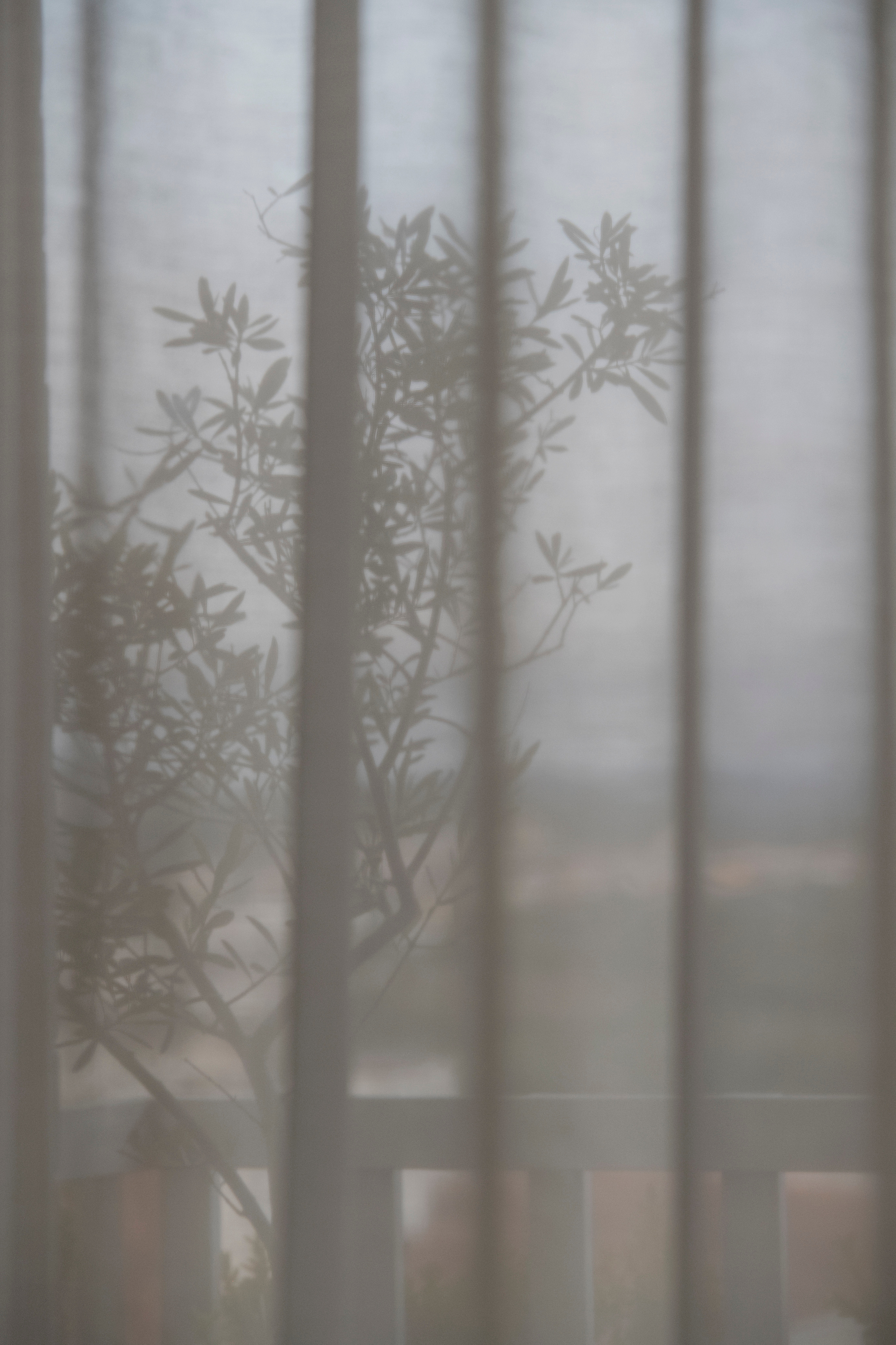 MOTHER (in progress). Anastasiia Antoniuk portrait, family and couple photographer, Portugal