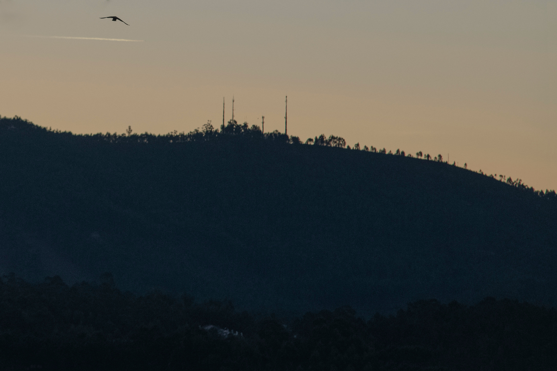 MOTHER (in progress). Anastasiia Antoniuk portrait, family and couple photographer, Portugal