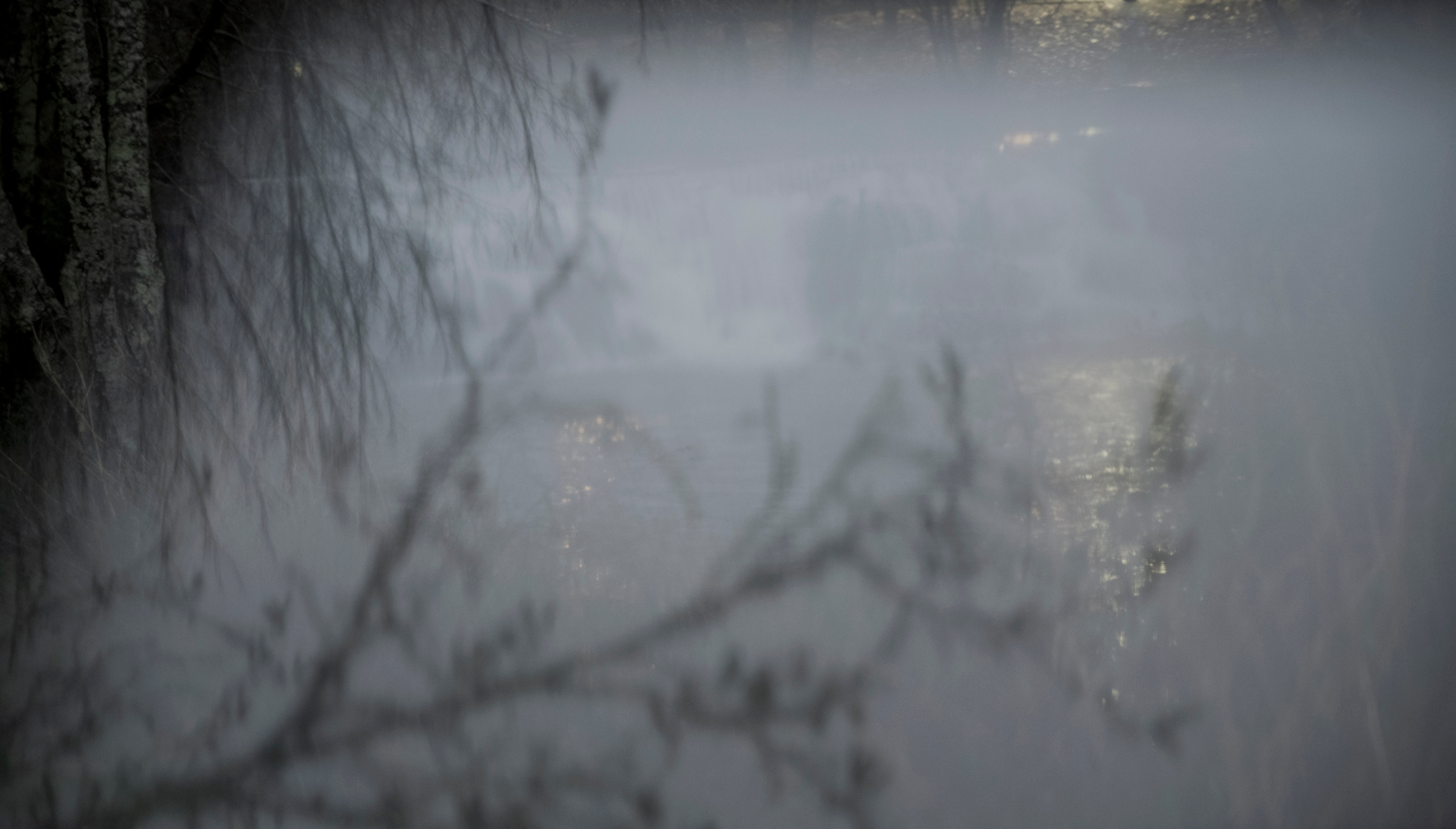 MOTHER (in progress). Anastasiia Antoniuk portrait, family and couple photographer, Portugal
