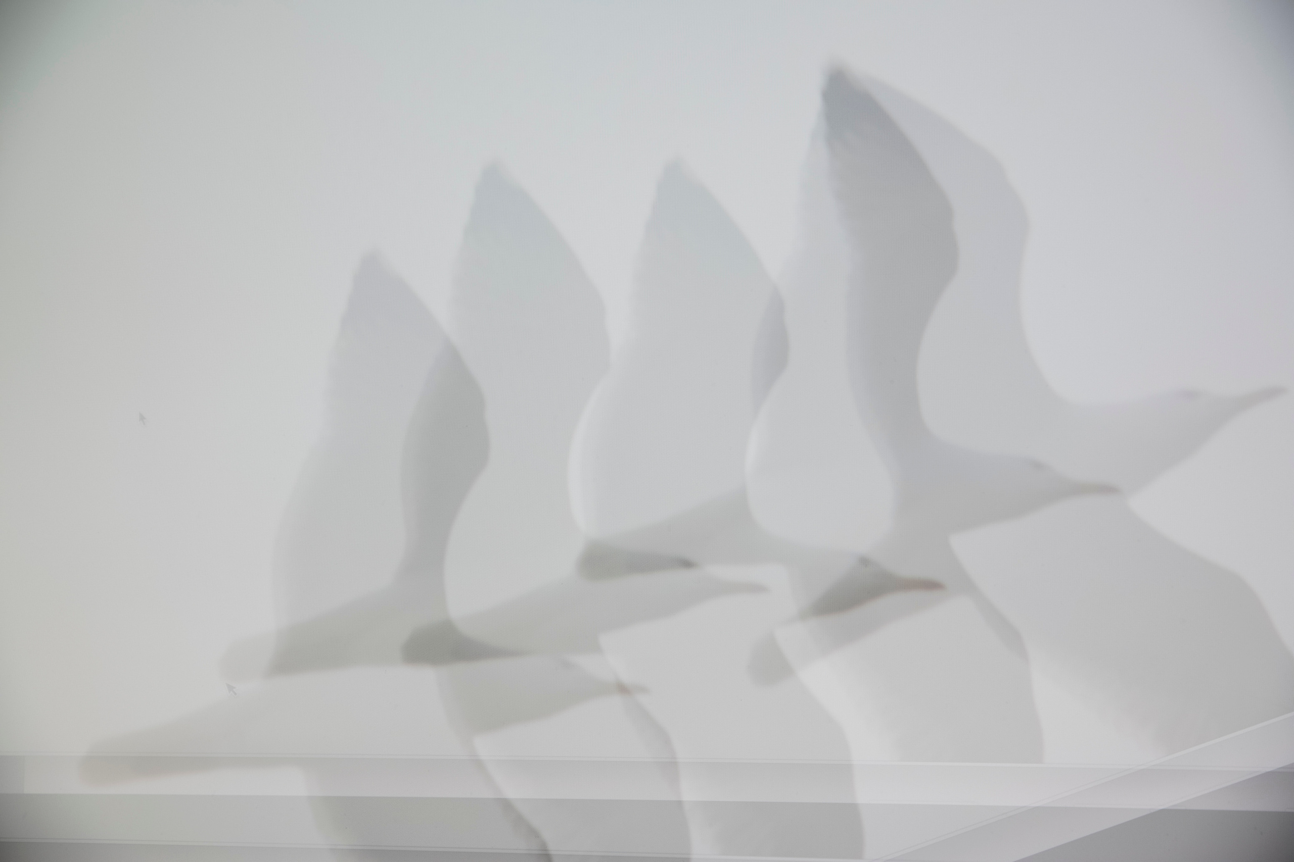 MOTHER (in progress). Anastasiia Antoniuk portrait, family and couple photographer, Portugal