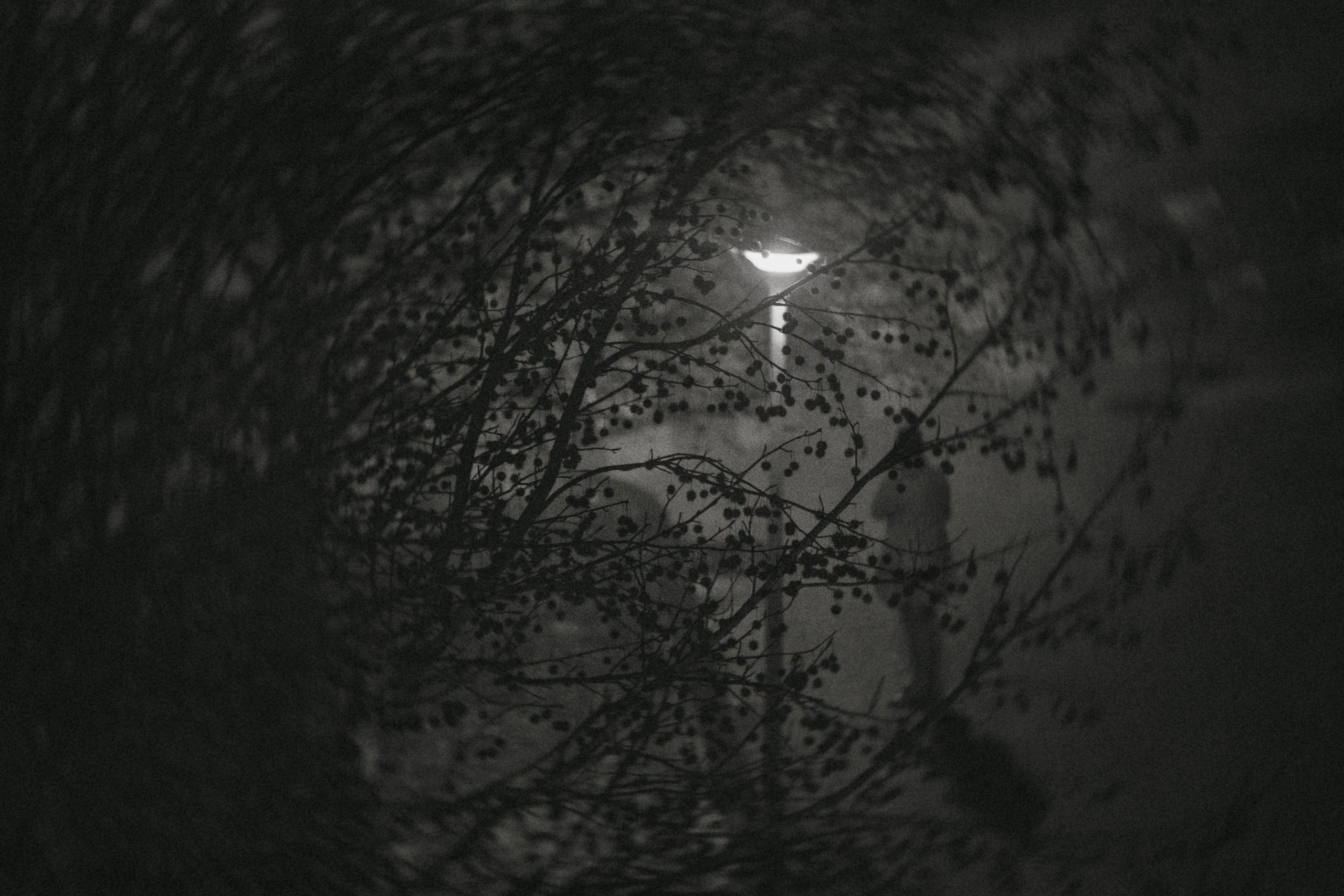 MOTHER (in progress). Anastasiia Antoniuk portrait, family and couple photographer, Portugal