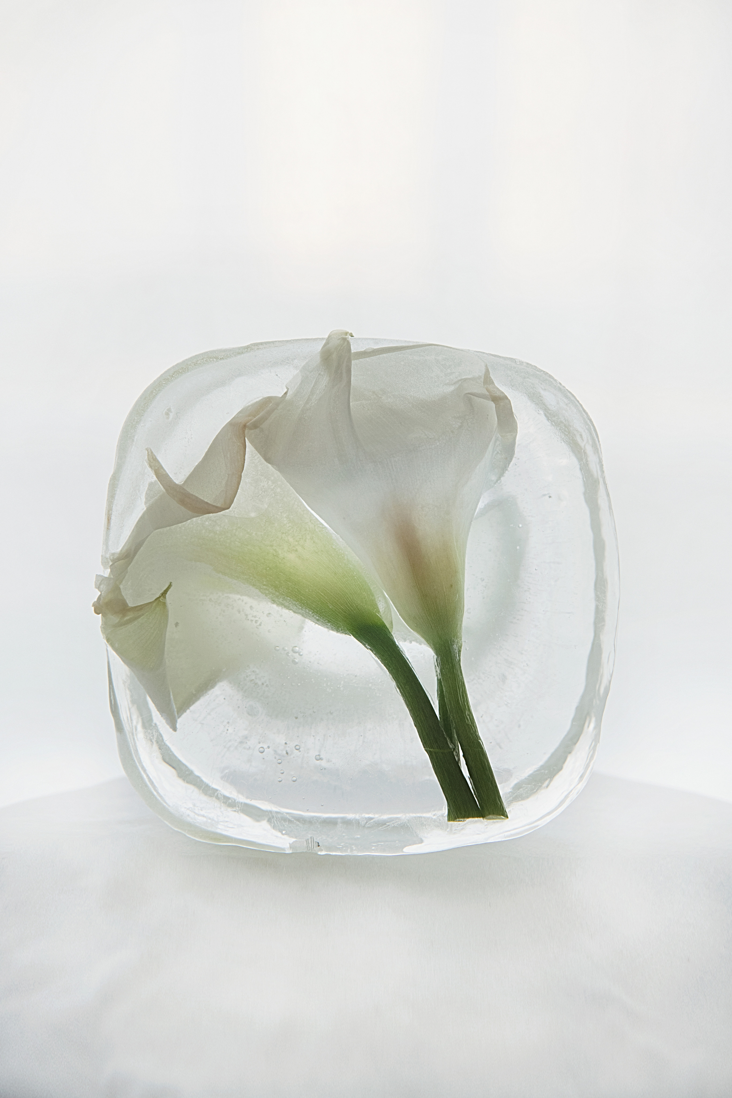 FROZEN NATURE. Anastasiia Antoniuk portrait, family and couple photographer, Portugal