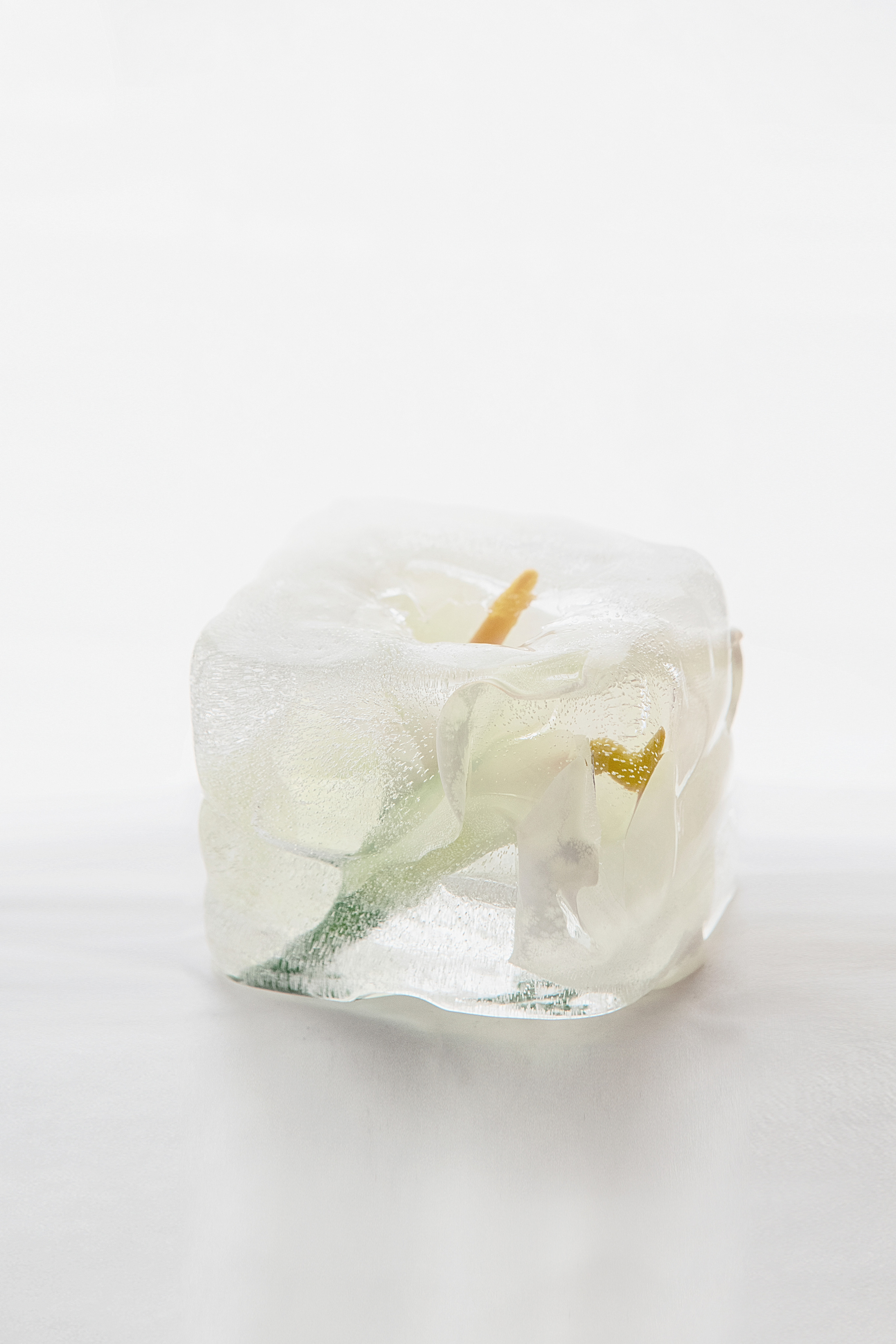 FROZEN NATURE. Anastasiia Antoniuk portrait, family and couple photographer, Portugal