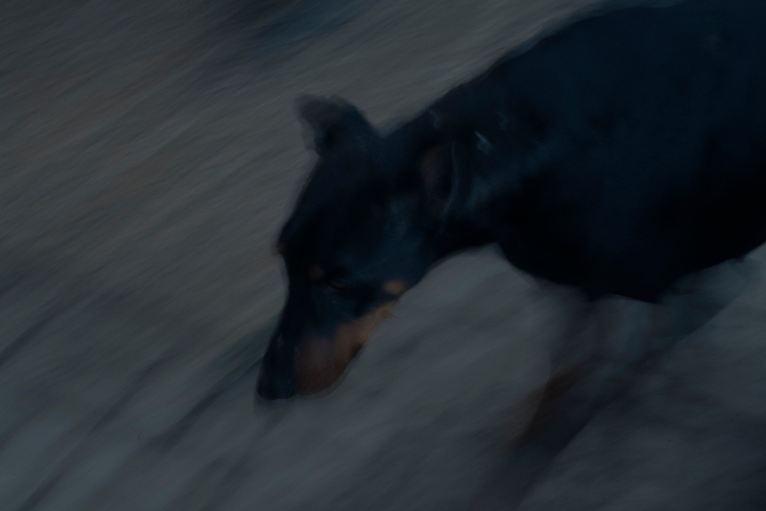 MOTHER (in progress). Anastasiia Antoniuk portrait, family and couple photographer, Portugal